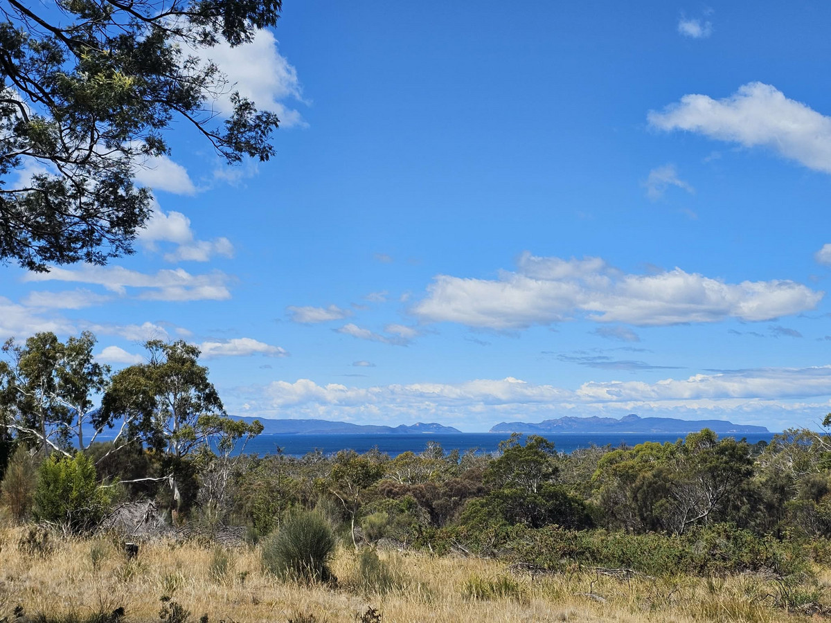 5 Addison Street, Swansea, Tas, 7190 - Image 3