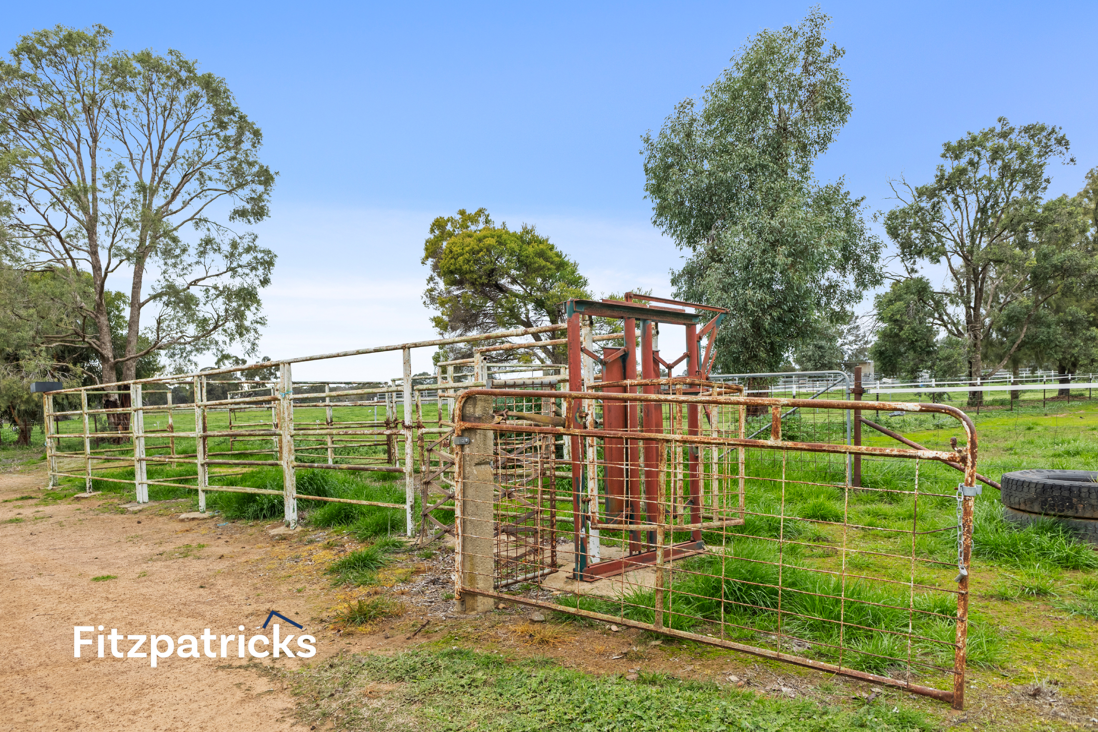 3-bedroom house at 62 Rosevale Drive, Lake Albert, NSW 2650, Wagga Wagga, New South Wales