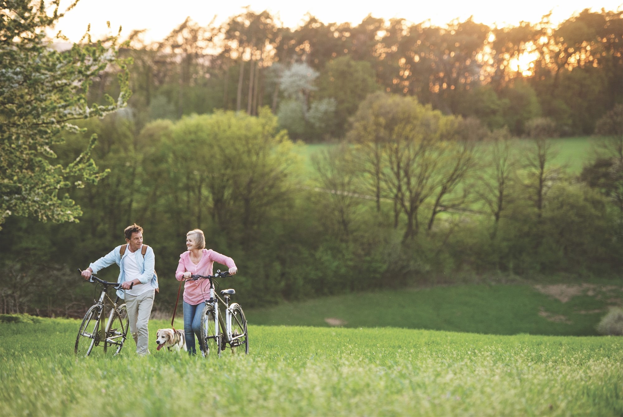 3-bedroom unit at Lot 2/78 Cullen Street, Warwick, Qld, 4370, Southern Downs, Queensland