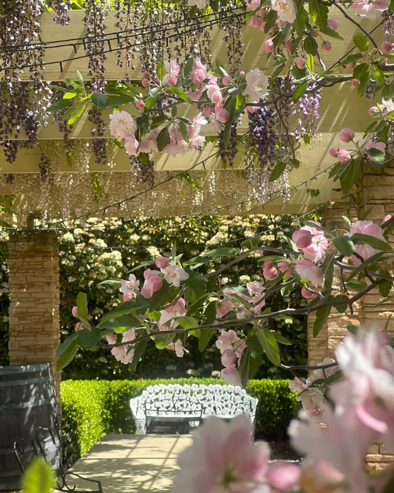 3-bedroom house at 39 Hawkins Street, Howlong, NSW 2643, Federation, New South Wales