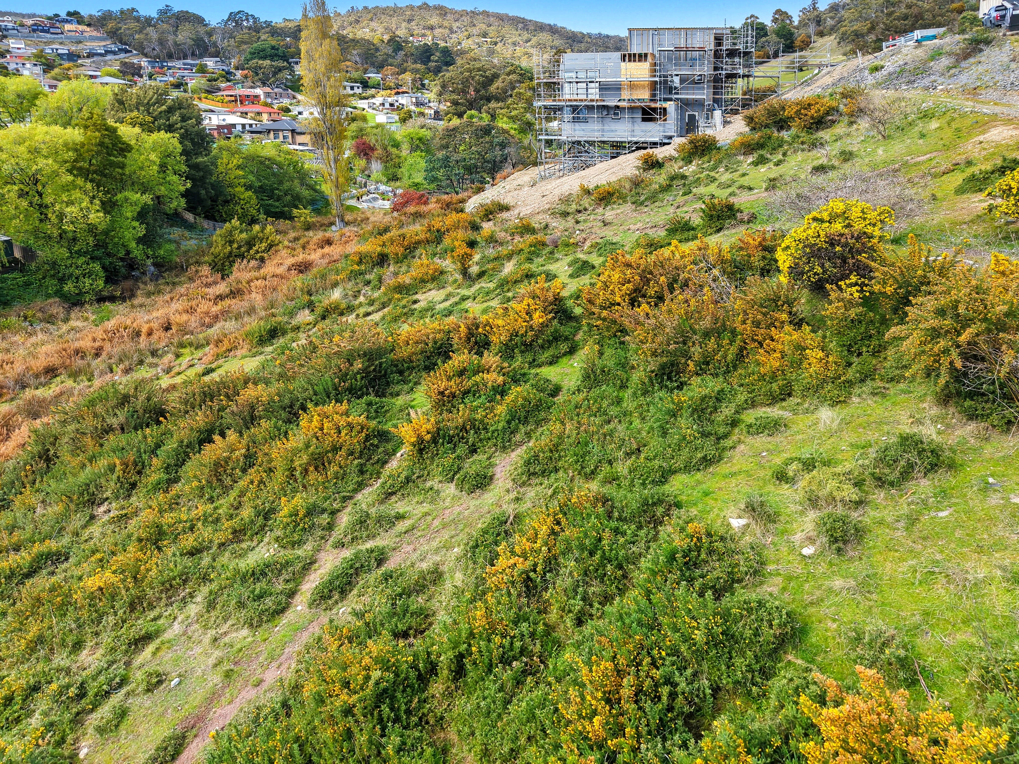 12 Ancanthe Avenue, Lenah Valley, Tas, 7008 - Image 2