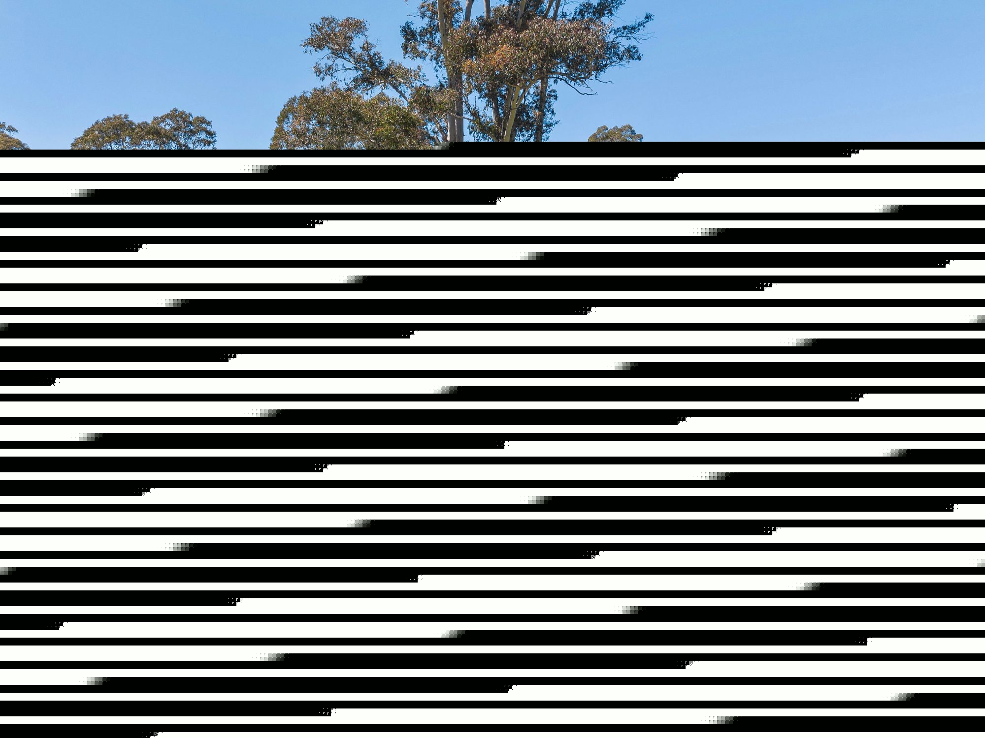 5-bedroom house at 56 Rowlands Road, Liena, TAS 7304, Meander Valley, Tasmania