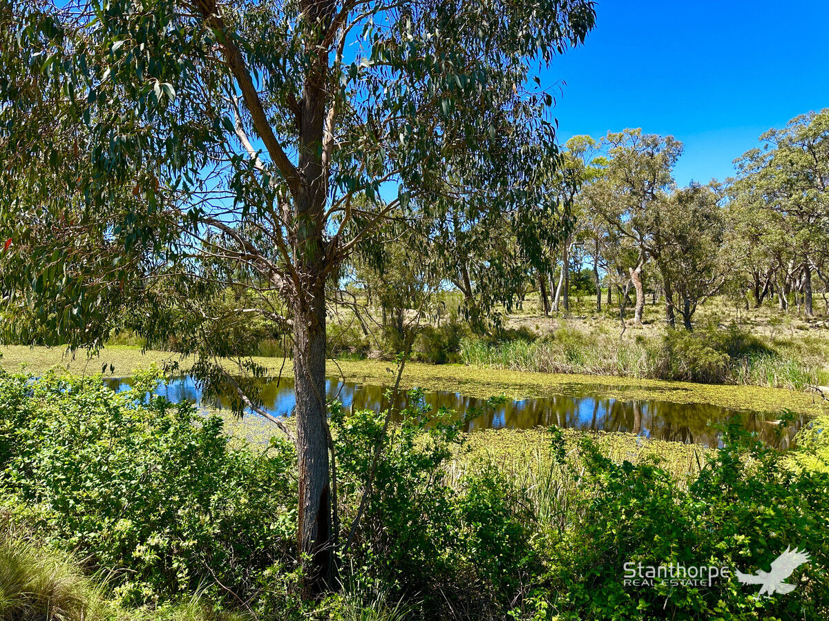 2 Stanthorpe - Texas Road, Stanthorpe, Qld, 4380 - Image 8
