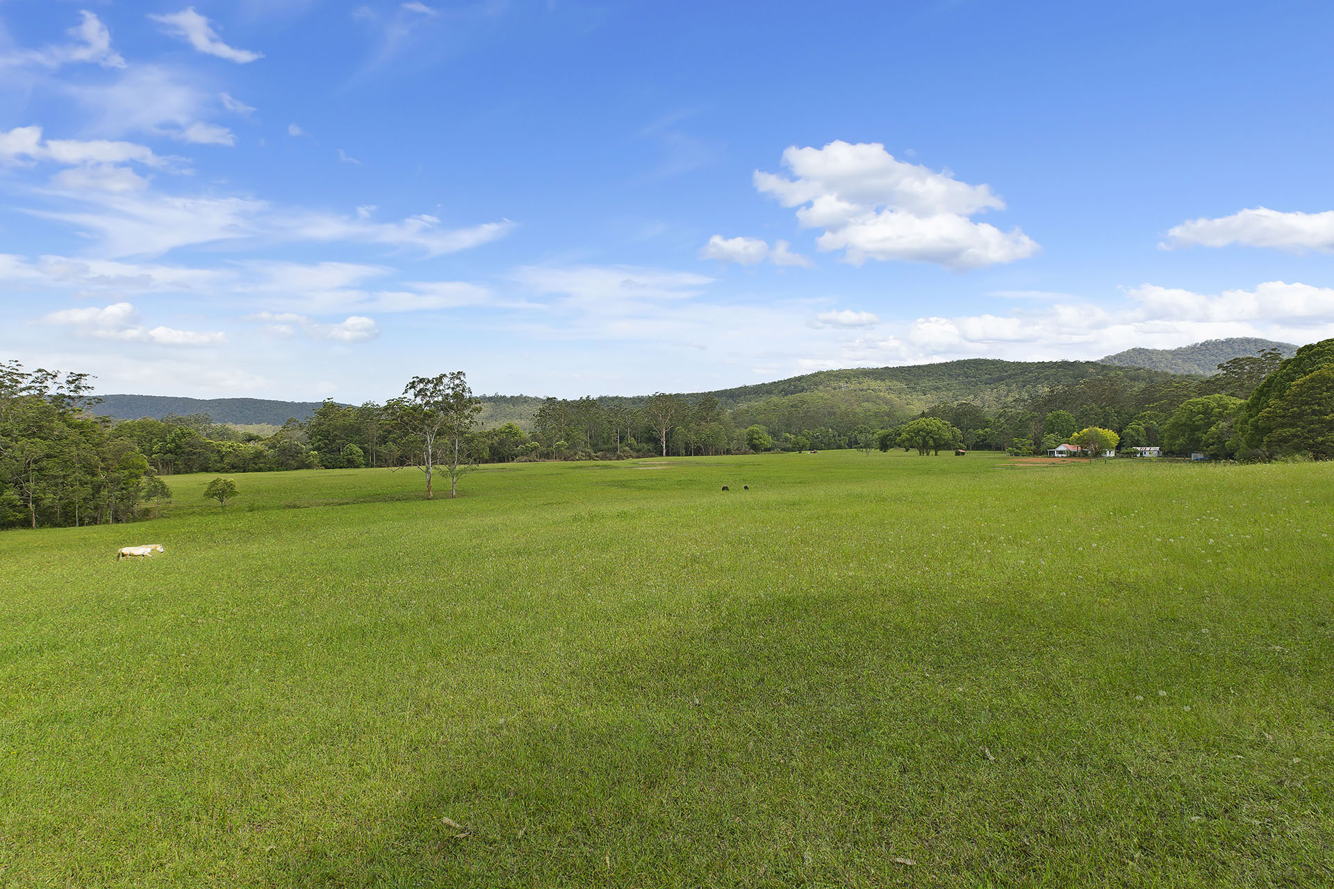 1-bedroom house at 1519 Yarramalong Road, Yarramalong, NSW 2259, , New South Wales