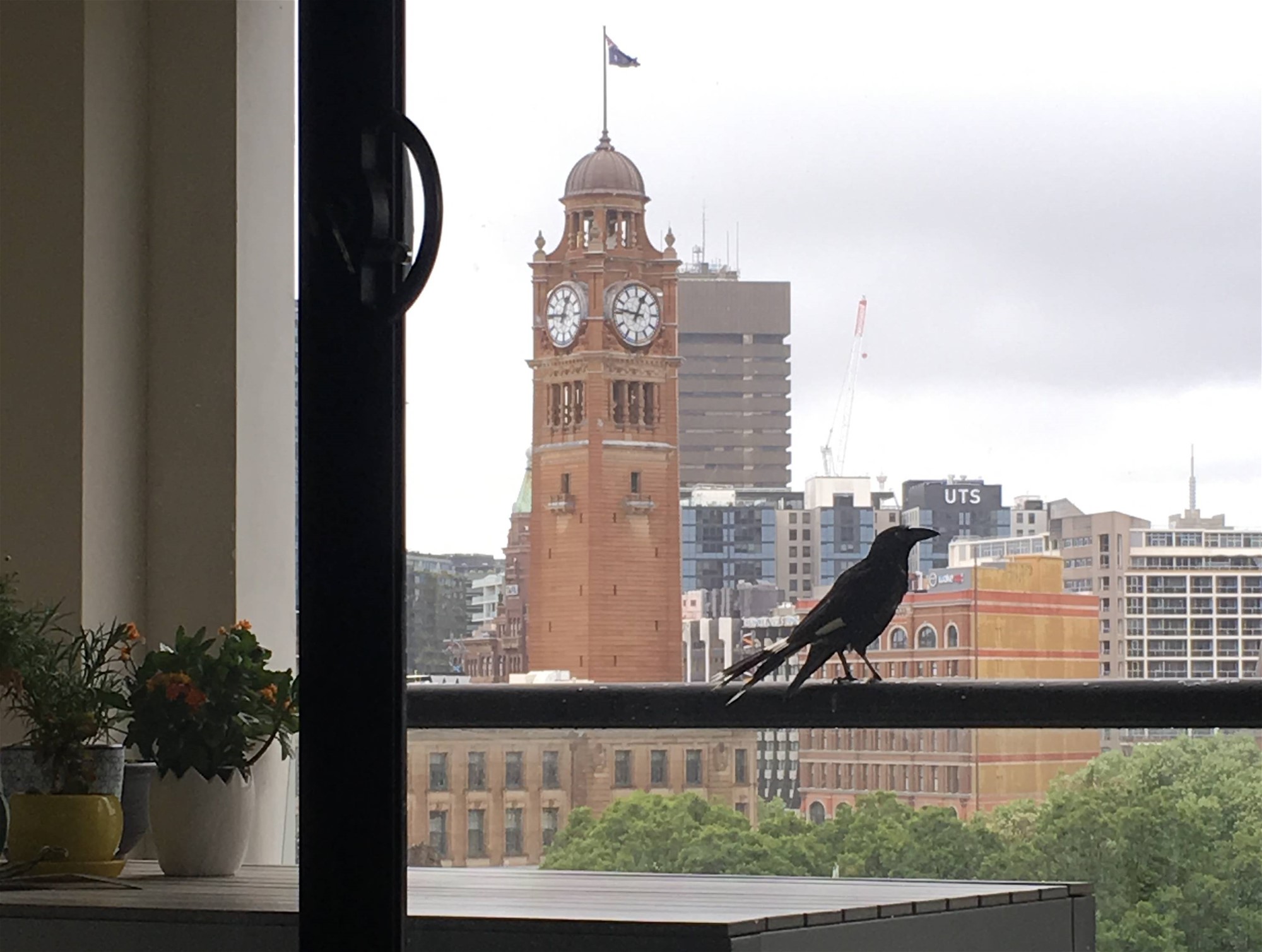 1-bedroom unit at 904/242-254 Elizabeth Street, Surry Hills, NSW 2010, Sydney, New South Wales