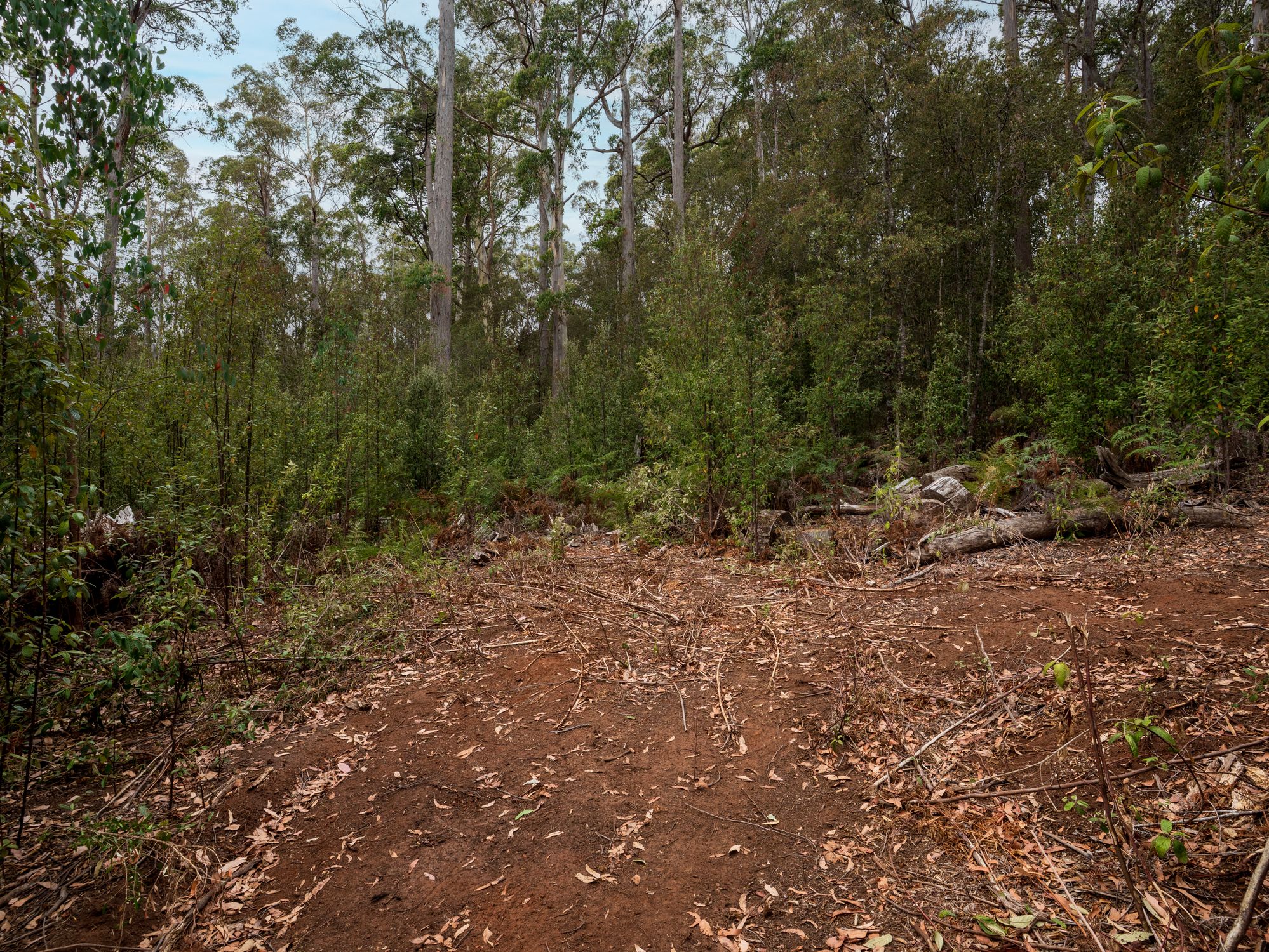 1-bedroom house at 167 LAKE BARRINGTON ROAD, Wilmot TAS 7310, Kentish, Tasmania