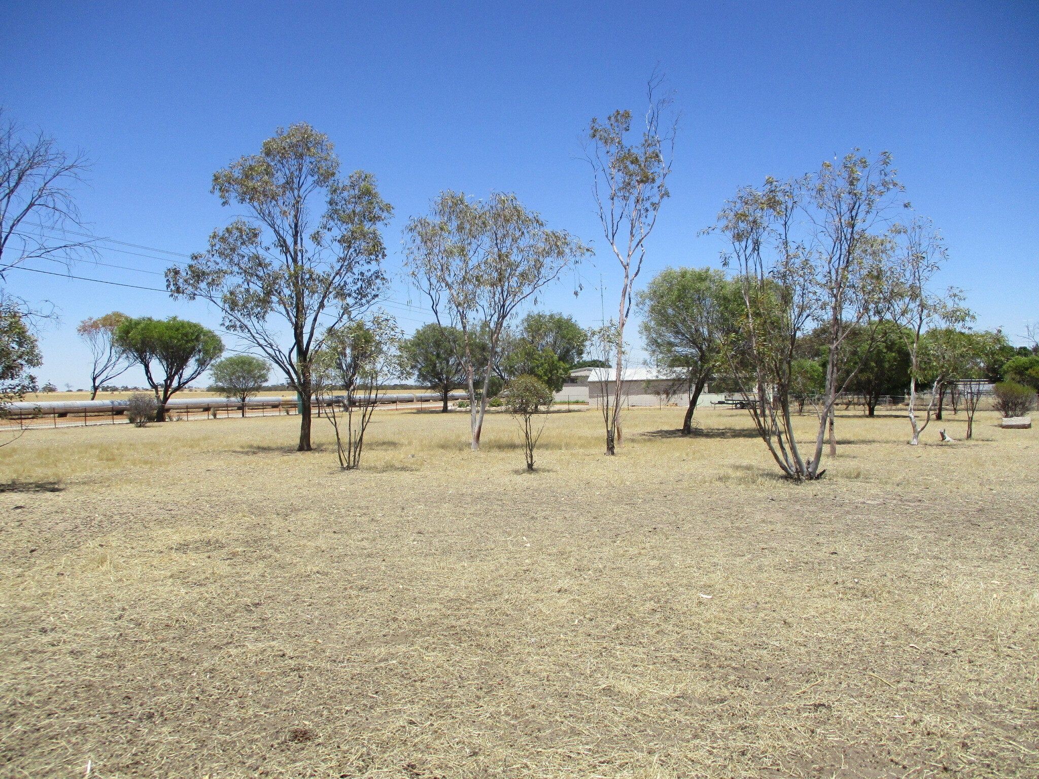 3-bedroom house at 7 Johnston Street, Meckering, WA 6405, Cunderdin, Western Australia
