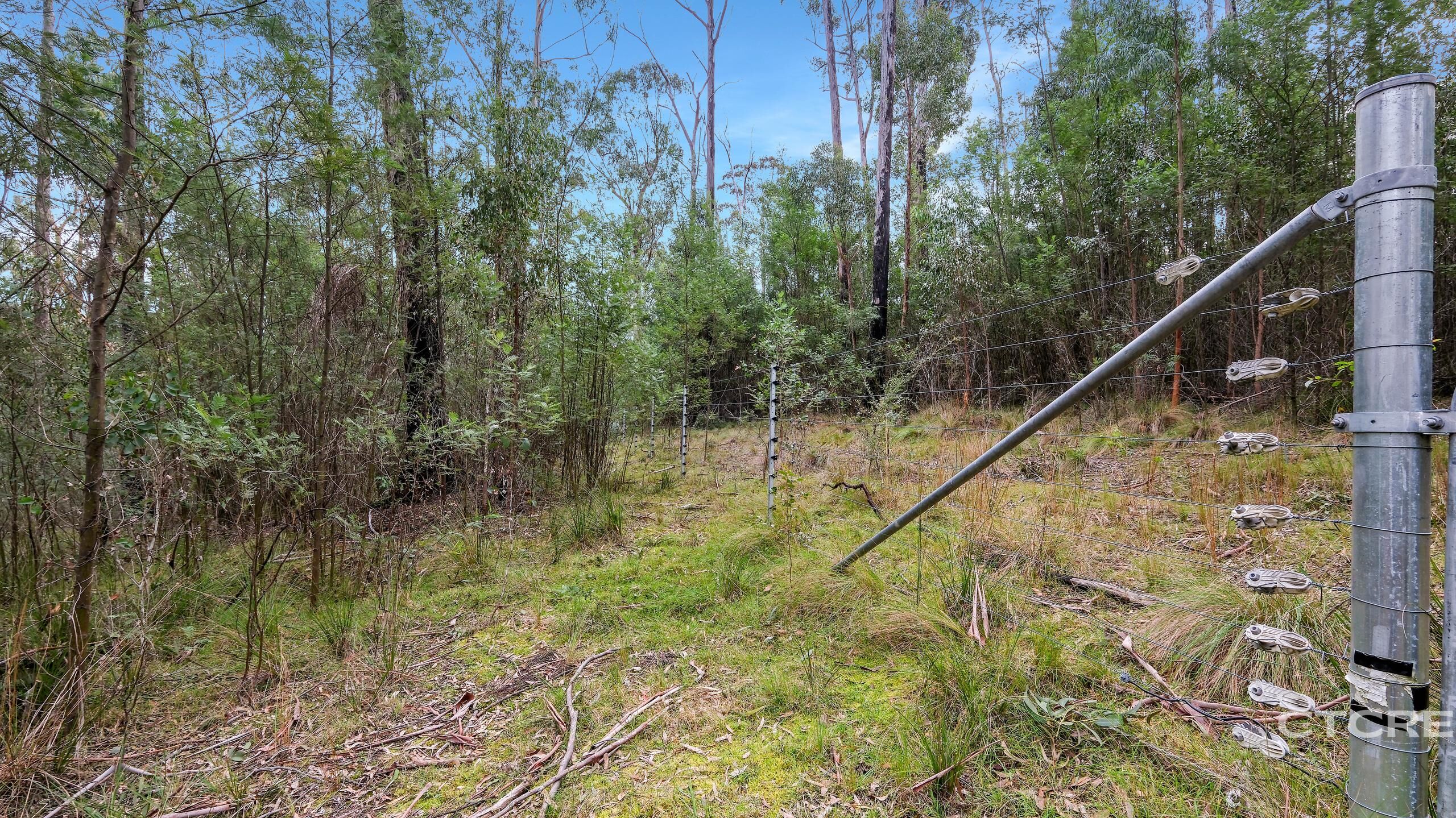 2-bedroom house at 1664 Wangarabell Road, Wangarabell, Vic, 3891, East Gippsland, Victoria