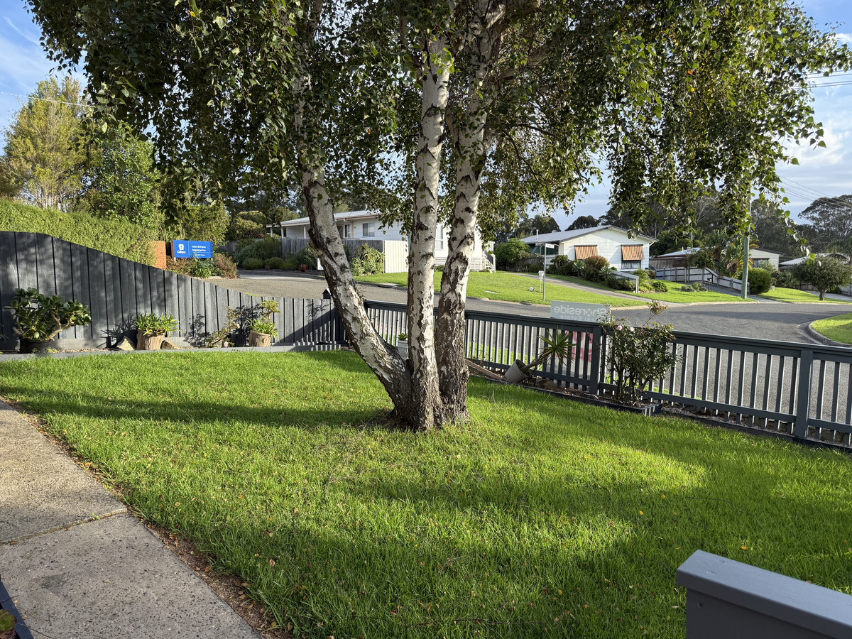 19 ALEXANDRA AVENUE, Kalimna VIC 3909 - Image 6