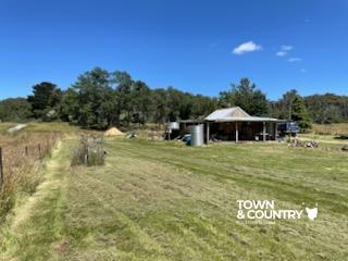 1-bedroom house at 67 Elizabeth Street, Mangana, TAS 7214, Break O'day, Tasmania