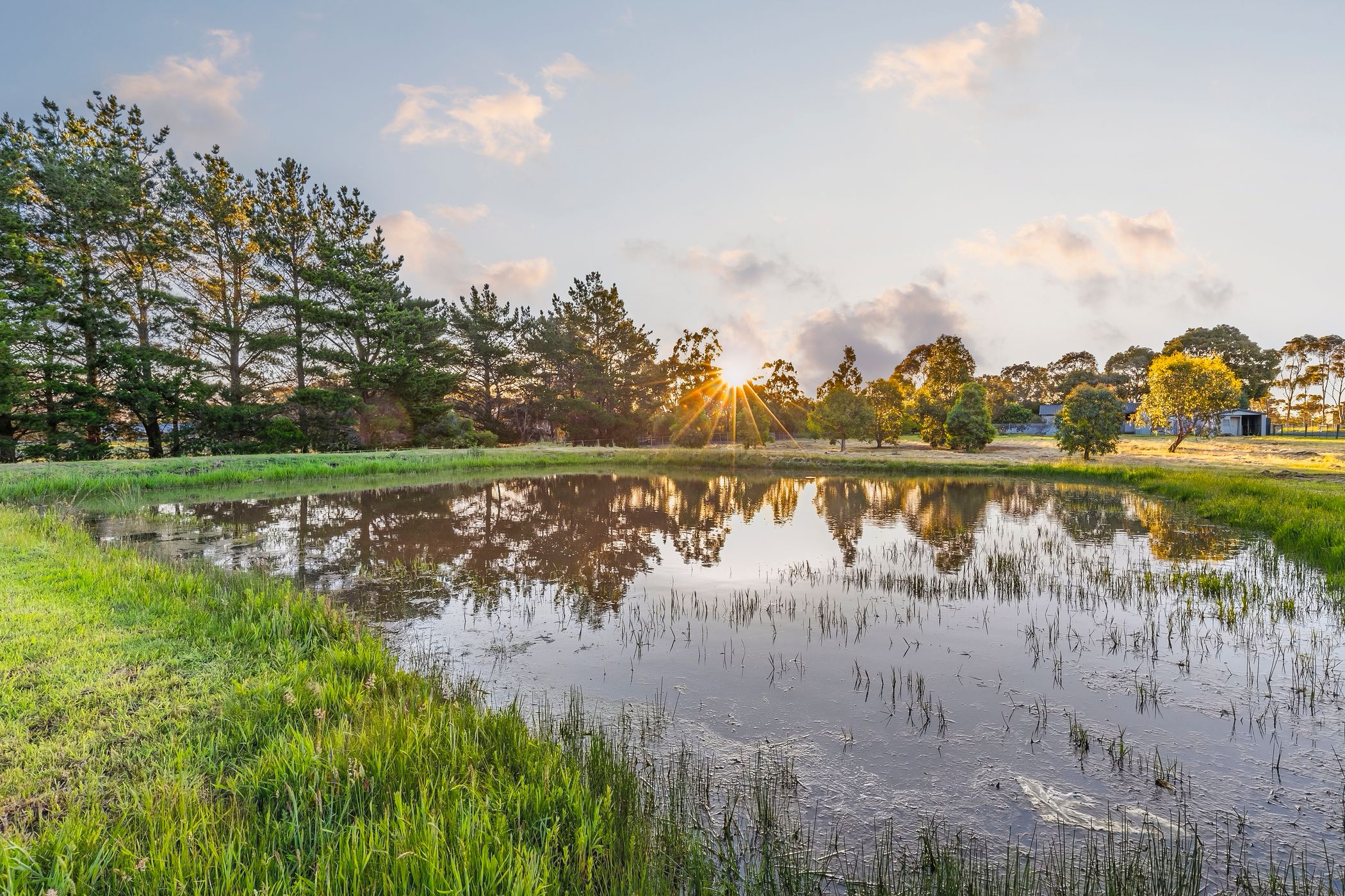 4-bedroom house at 735 Anglesea Road, Freshwater Creek, VIC 3217, Surf Coast, Victoria