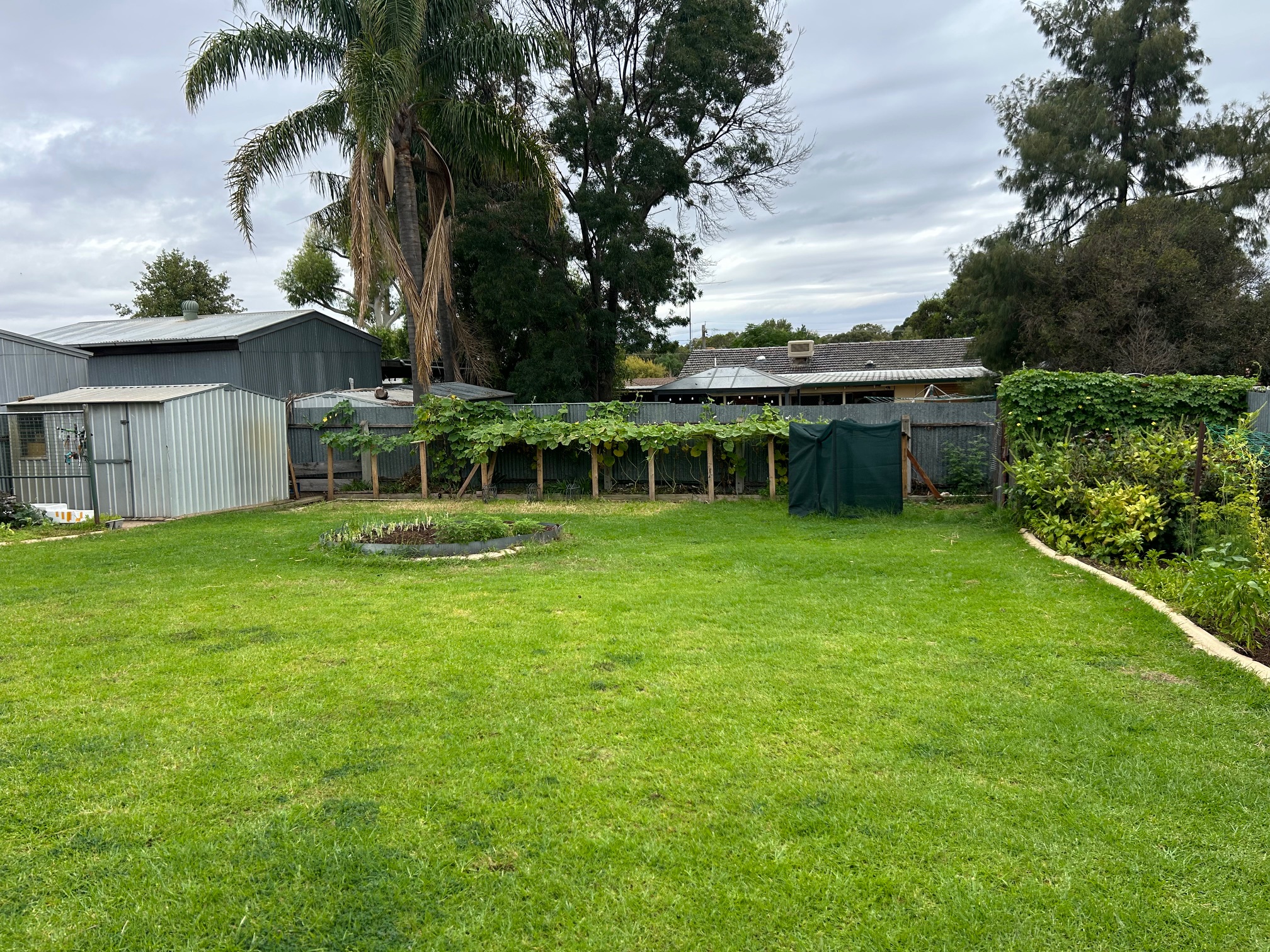 3-bedroom house at 4 Mitchell Street, Leeton, NSW 2705, Leeton, New South Wales