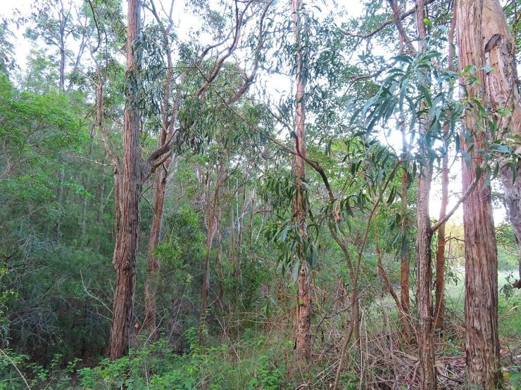 2-bedroom house at 1215 Rivertree Road, Stanthorpe, Qld, 4380, Southern Downs, Queensland