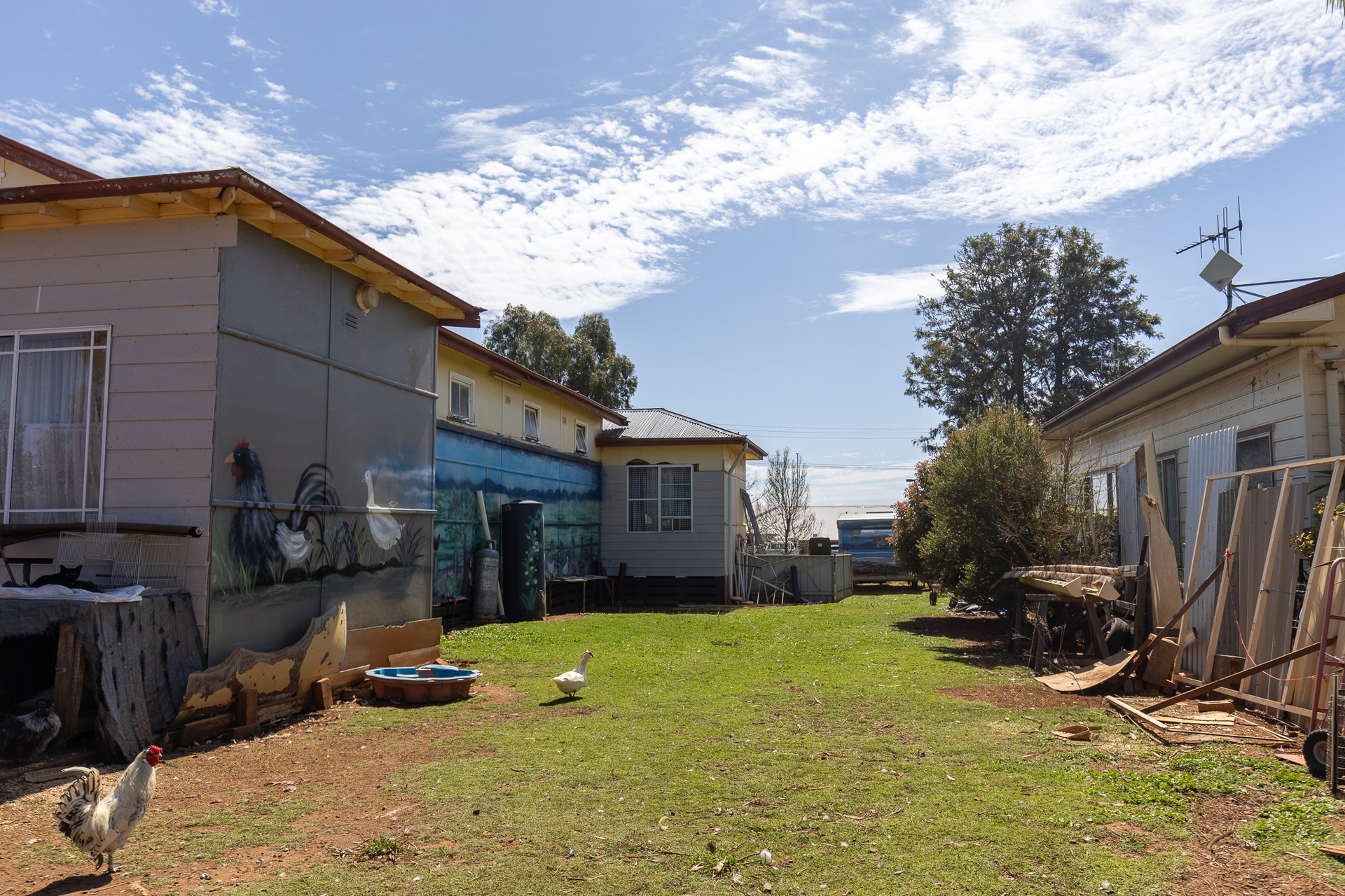 3-bedroom house at 28 Digilah Street, Dunedoo, NSW 2844, Warrumbungle, New South Wales