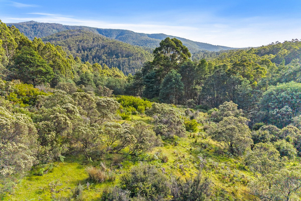 3 Nicholls Rivulet Road, Nicholls Rivulet, Tas, 7112 - Image 1