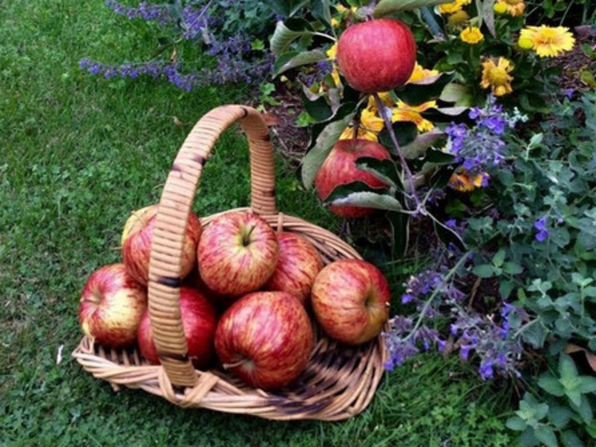 3-bedroom house at 26 Jermyn Street, Ulverstone, TAS 7315, , Tasmania