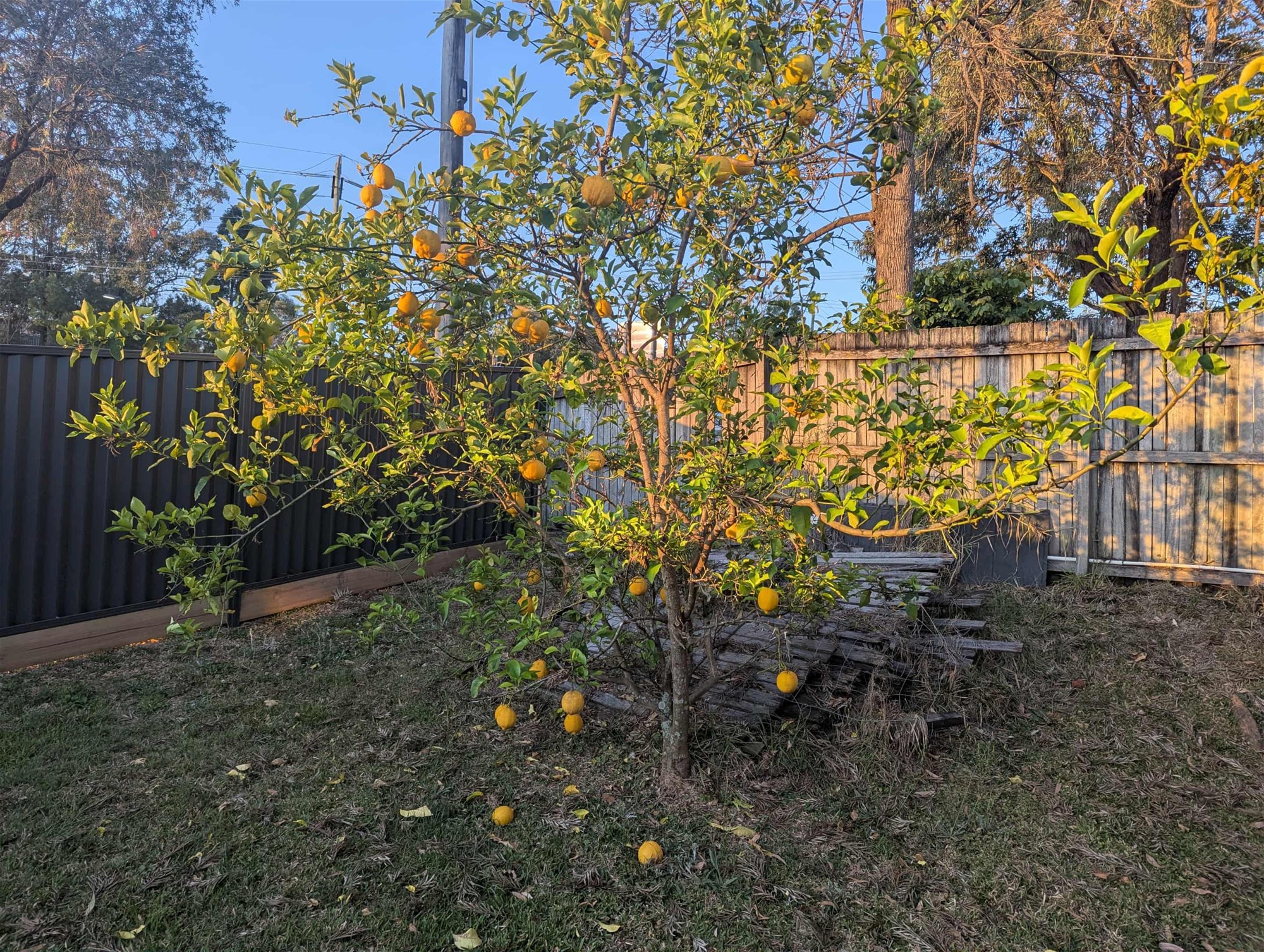 562 Nerang Road, Ashmore, Qld, 4214 - Image 8