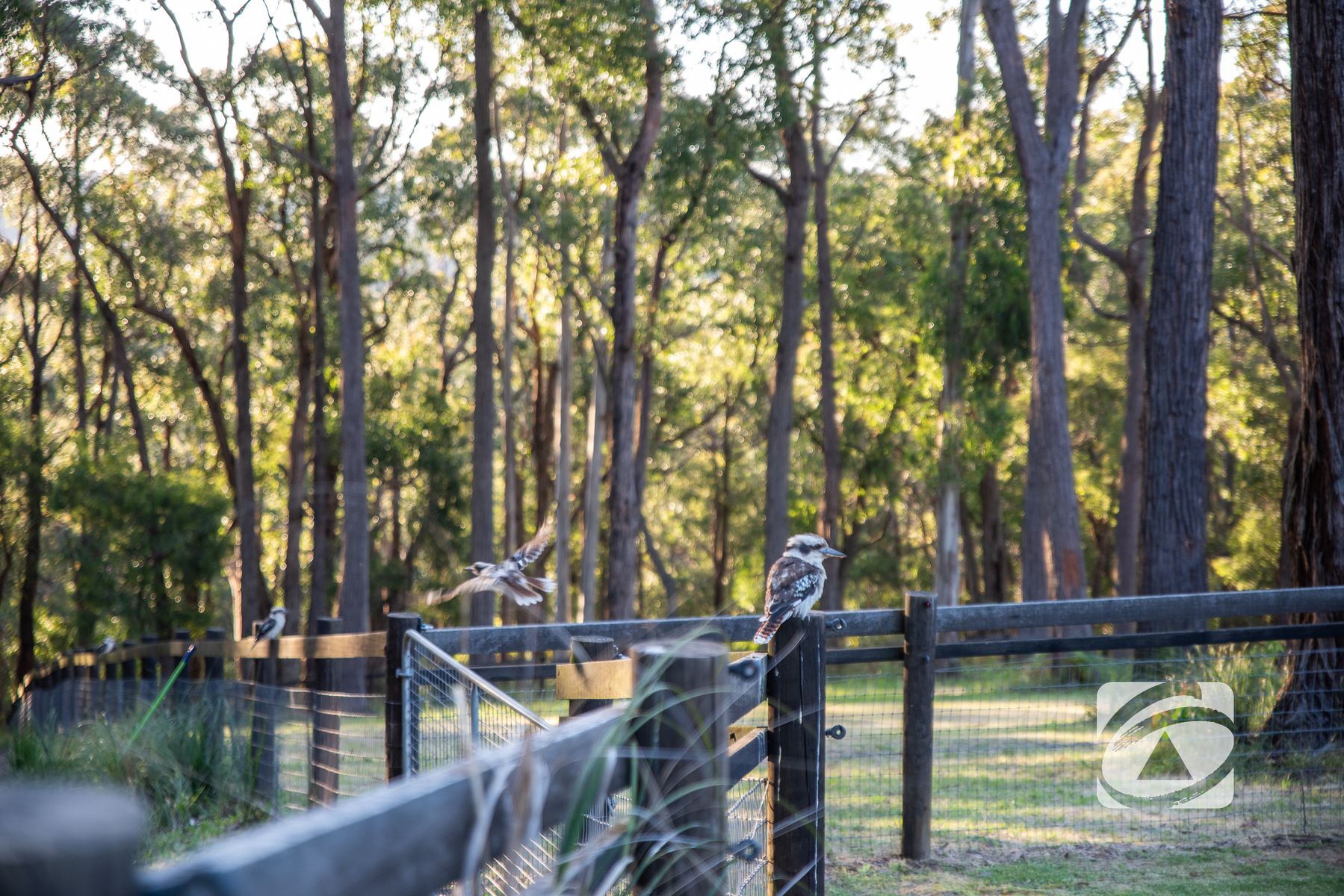 3-bedroom house at 300 GEMBROOK-TONIMBUK ROAD, Gembrook VIC 3783, Cardinia, Victoria
