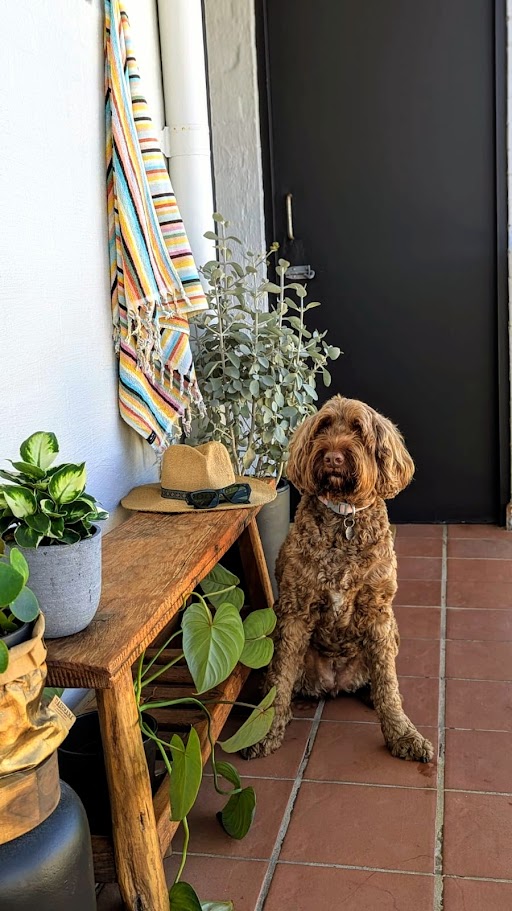 2-bedroom unit at 3/2 Wallaga Street, Bermagui, NSW 2546, Bega Valley, New South Wales