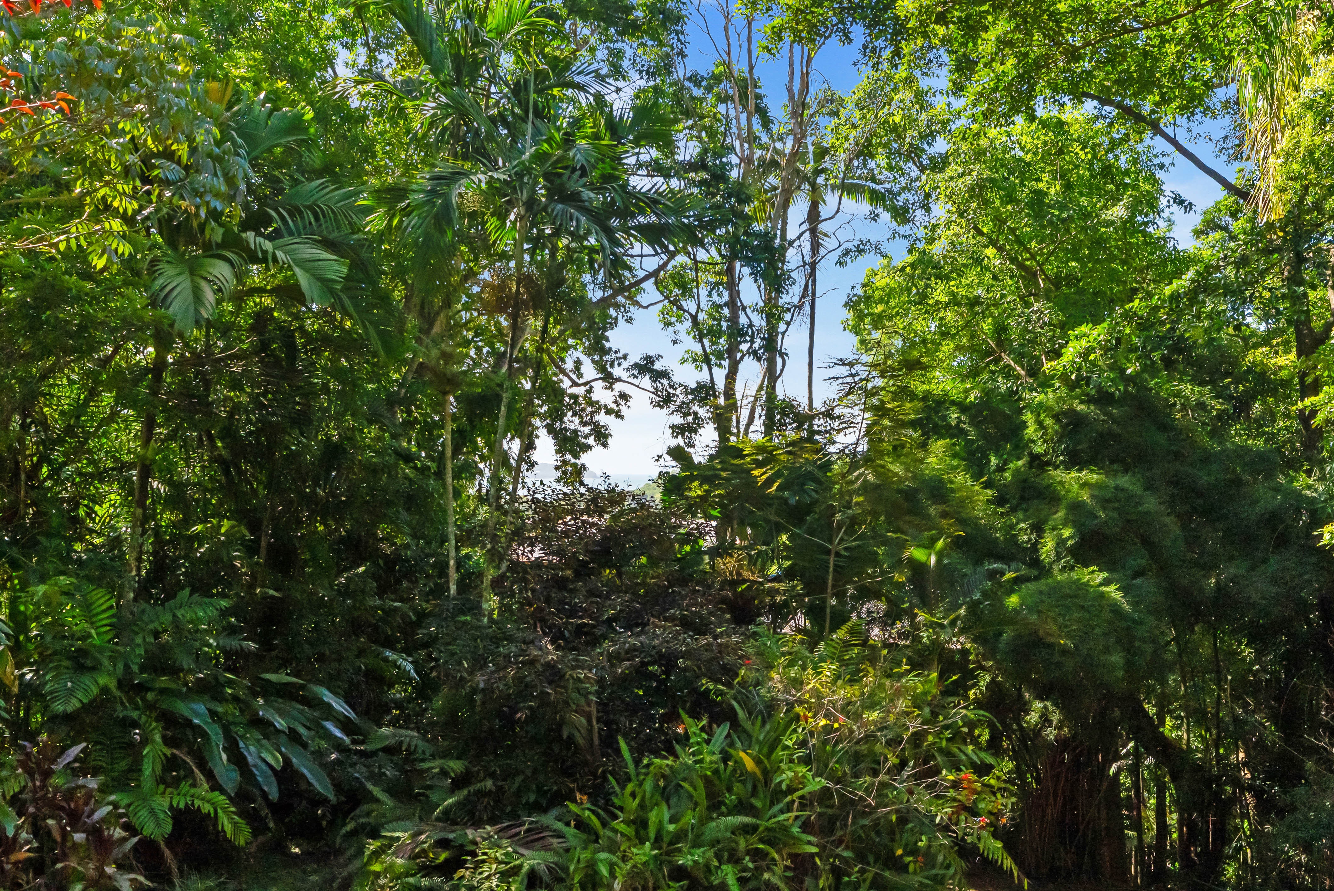 2-bedroom house at 4 Trinidad Close, Trinity Beach, QLD 4879, Cairns, Queensland