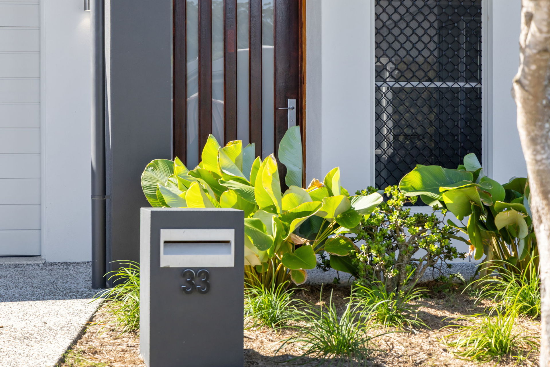 33 FICUS DRIVE, Palmview QLD 4553 - Image 3