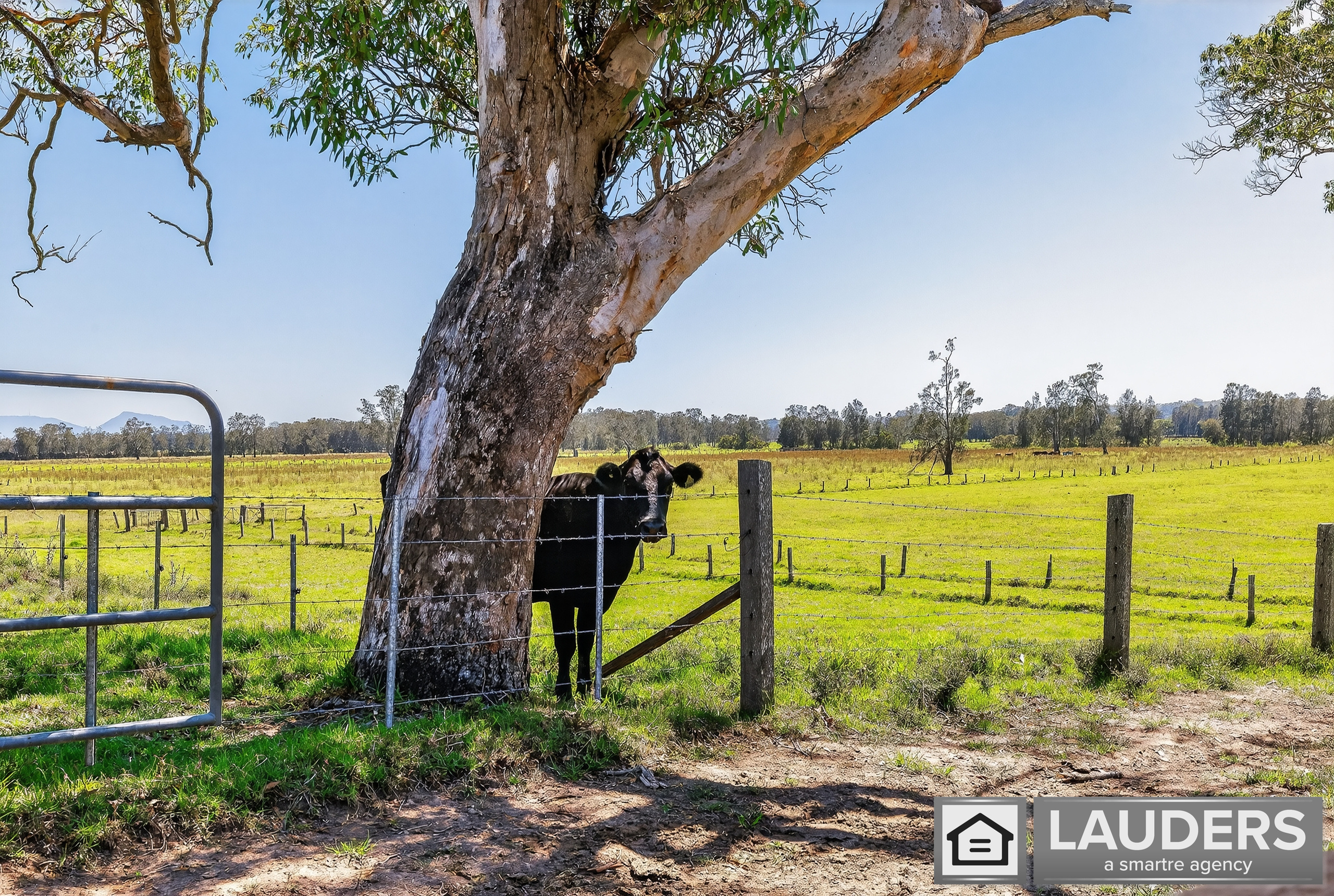 6-bedroom house at 157 OXLEY ISLAND ROAD, Oxley Island NSW 2430, Mid-Coast, New South Wales