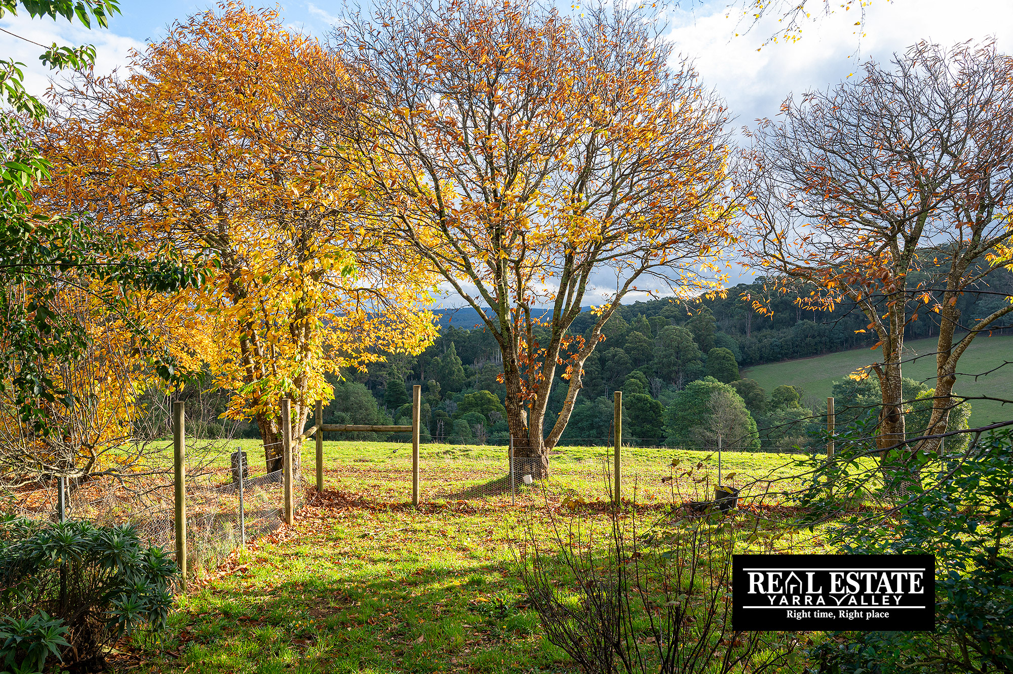 6-bedroom house at 117 Spraggs Road, Toolangi, VIC 3777, Yarra Ranges, Victoria