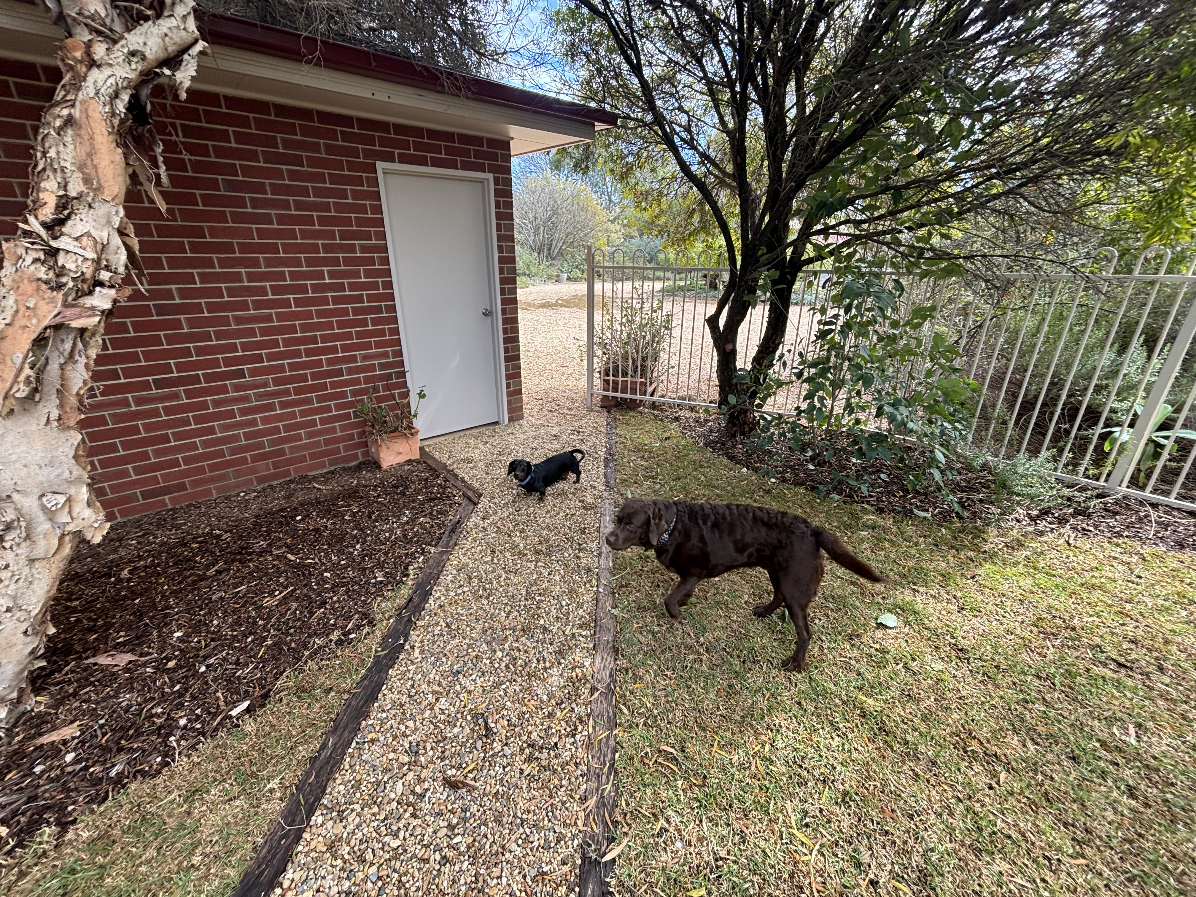 4-bedroom house at 24-26 Uri Street, Darlington Point, Nsw, 2706, Murrumbidgee, New South Wales