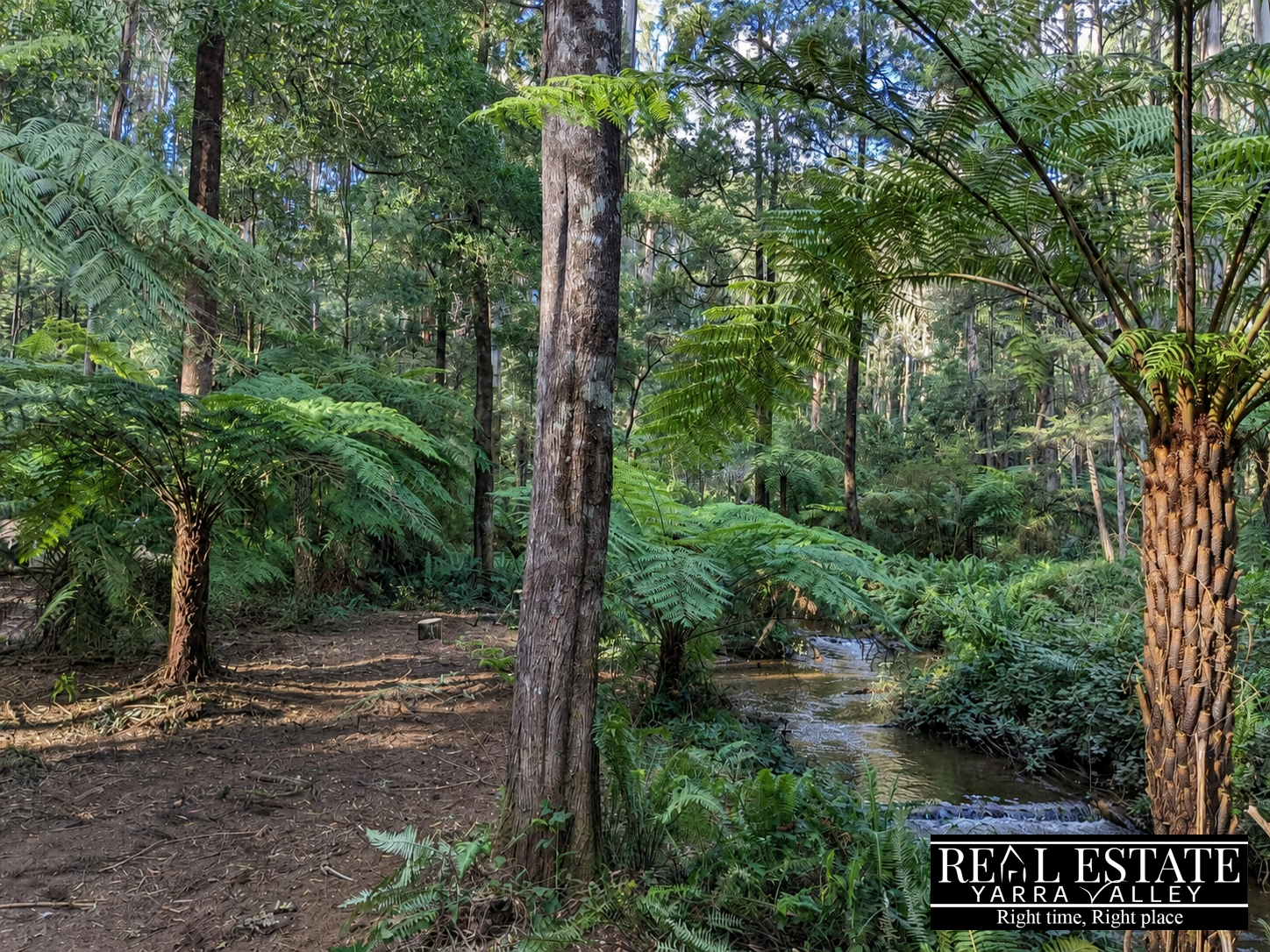 6-bedroom house at 117 Spraggs Road, Toolangi, VIC 3777, Yarra Ranges, Victoria