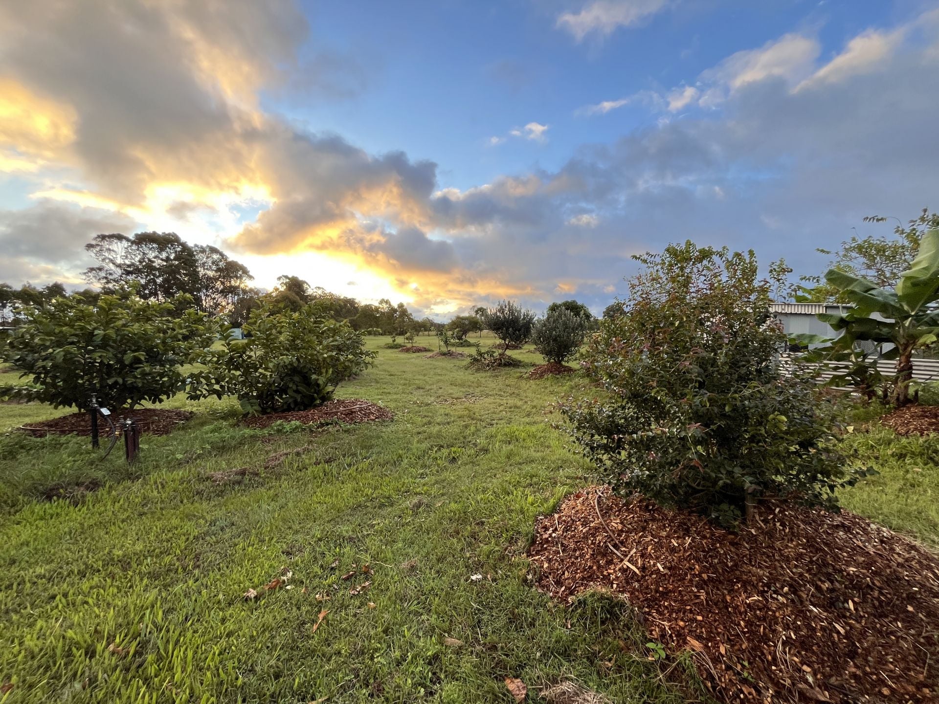 3-bedroom house at 84 GORDON EARL DRIVE, Millstream QLD 4888, Tablelands, Queensland