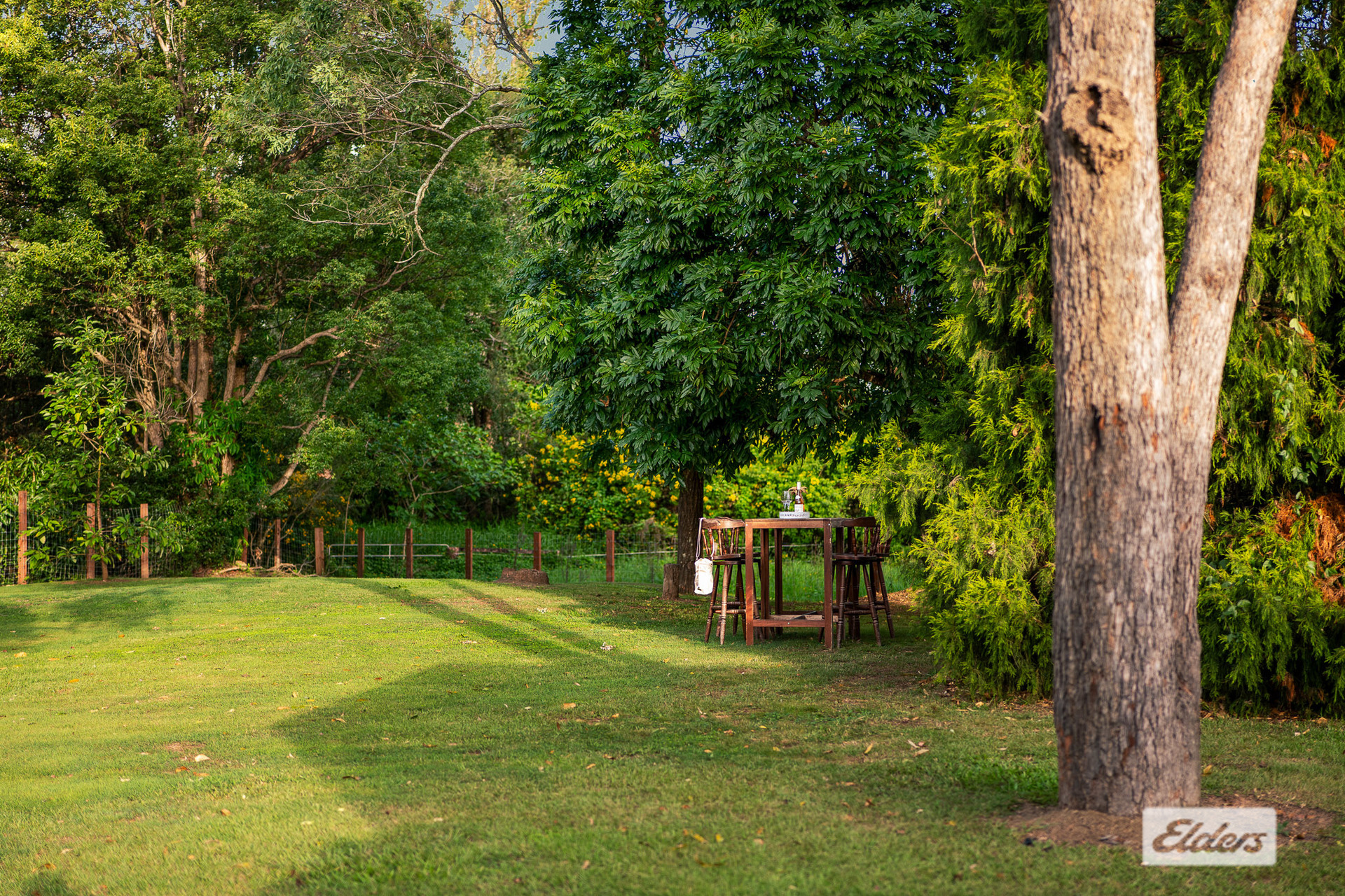 15 Clivia, Daisy Hill, QLD 4127 - Image 4