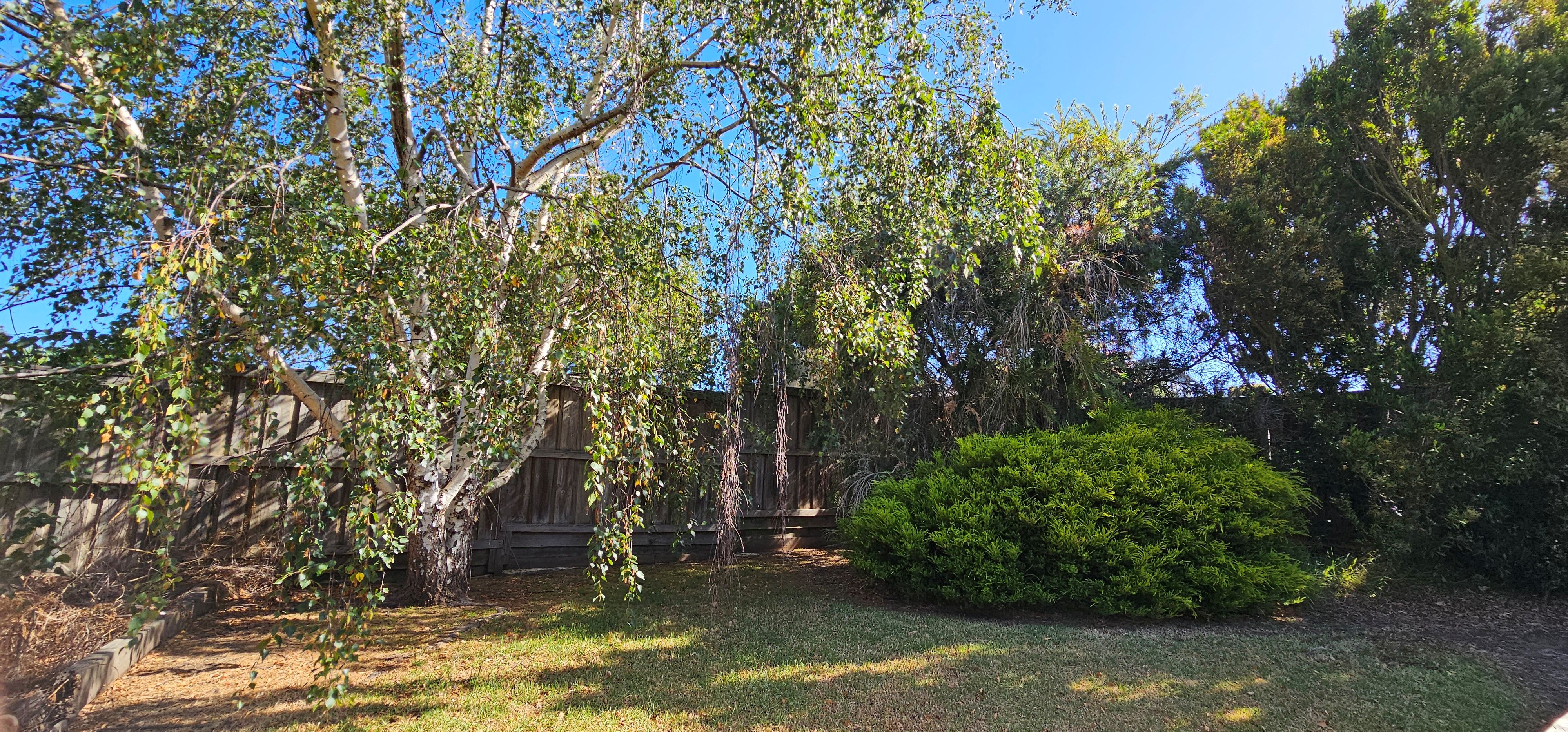 372 Settlement Road, Cowes, VIC 3922 - Image 8