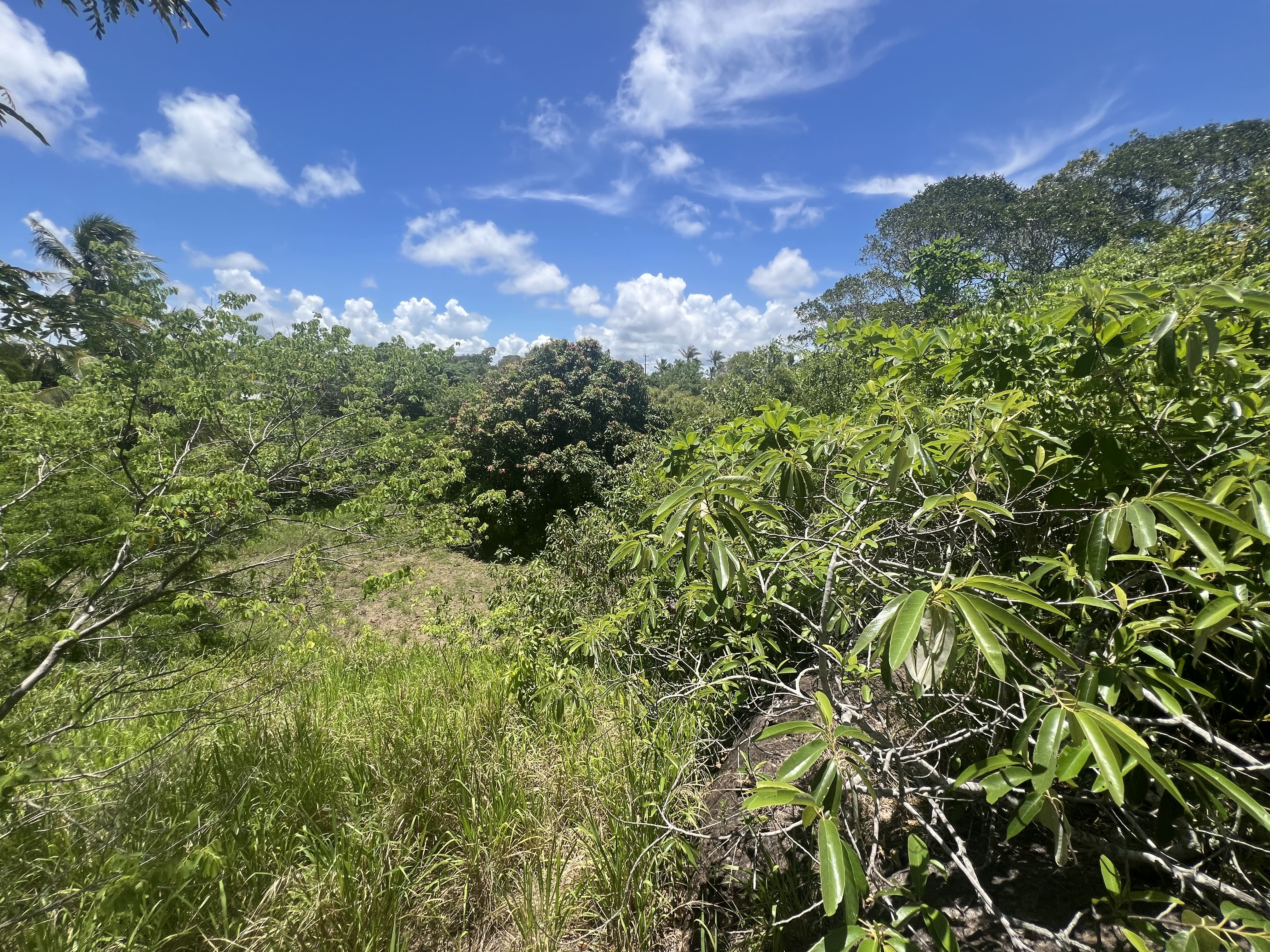 13-15 Ann Street, Cooktown, Qld, 4895 - Image 4