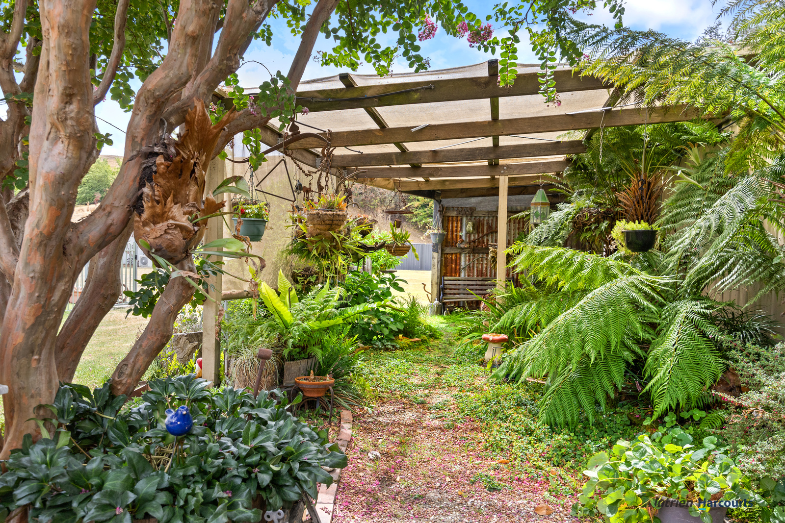 3-bedroom house at 25 Peterkin Street, Alexandra, VIC 3714, Murrindindi, Victoria