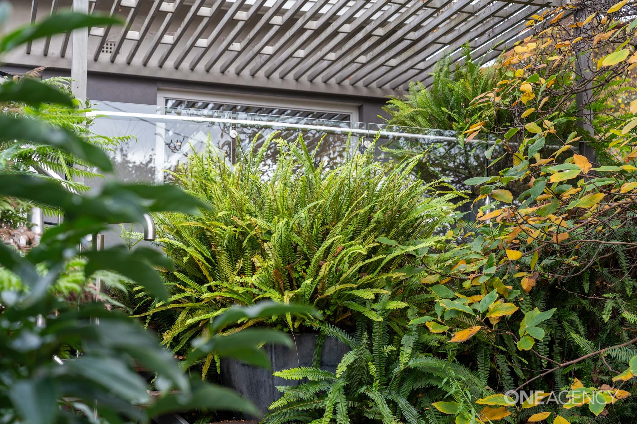 3-bedroom house at 184 Wilson Street, South Burnie, TAS 7320, Burnie, Tasmania