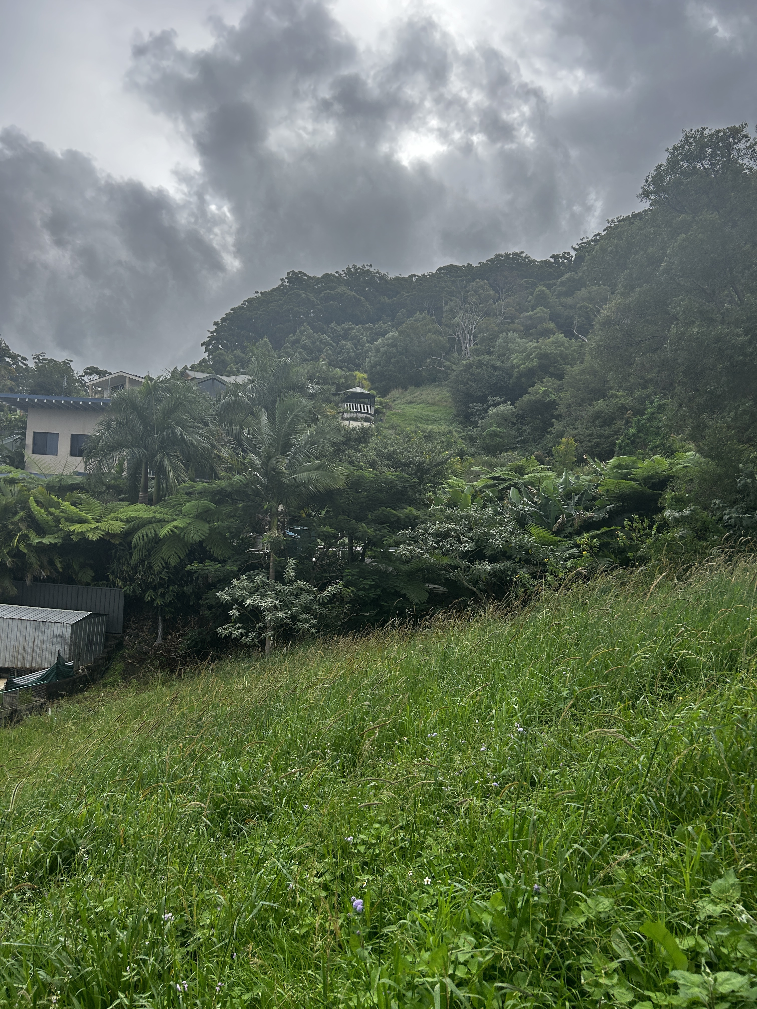 8 Gallagher Place, Coffs Harbour, NSW 2450 - Image 7