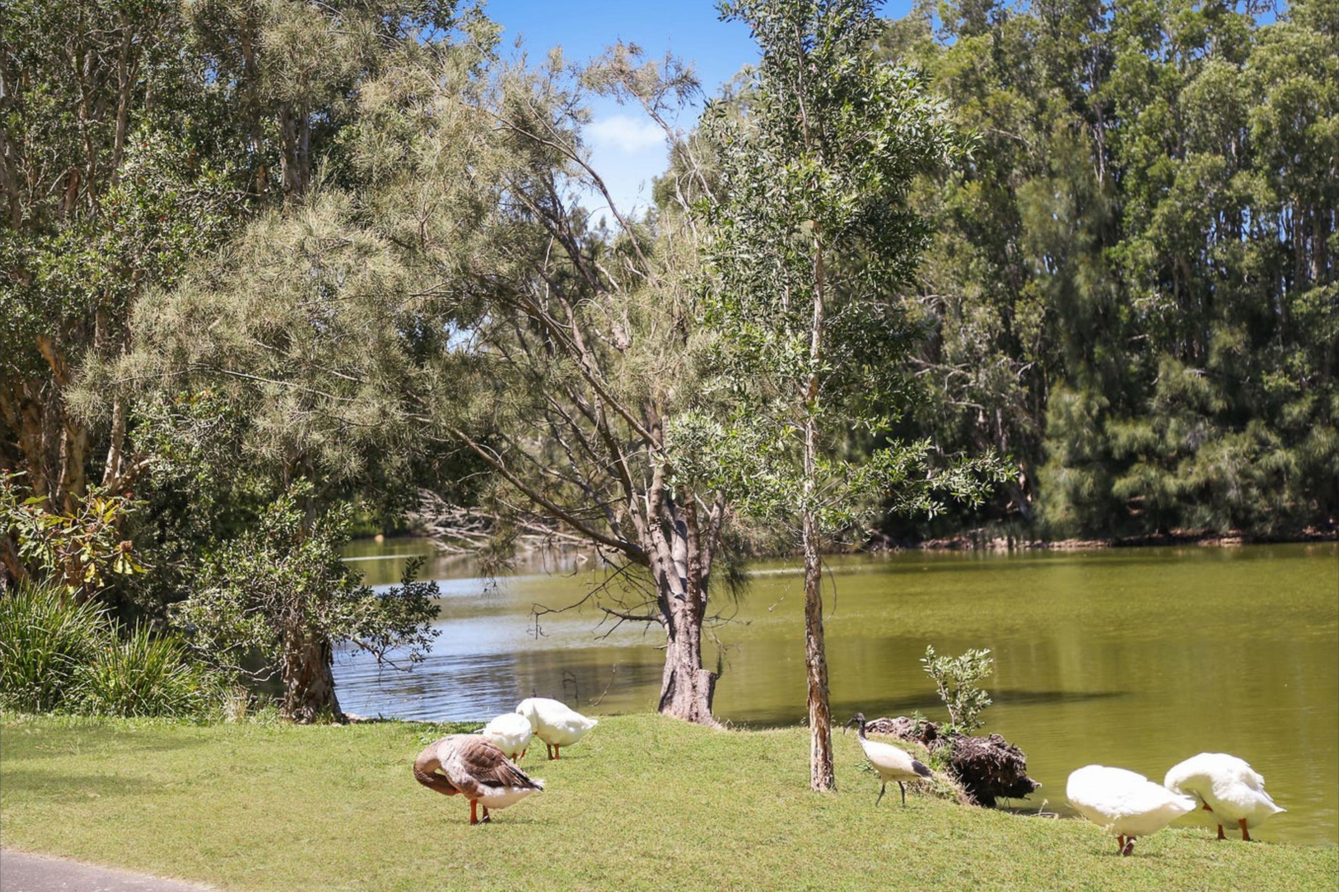 2-bedroom unit at 201/1 Madden Close, Botany, NSW 2019, Bayside (Nsw), New South Wales