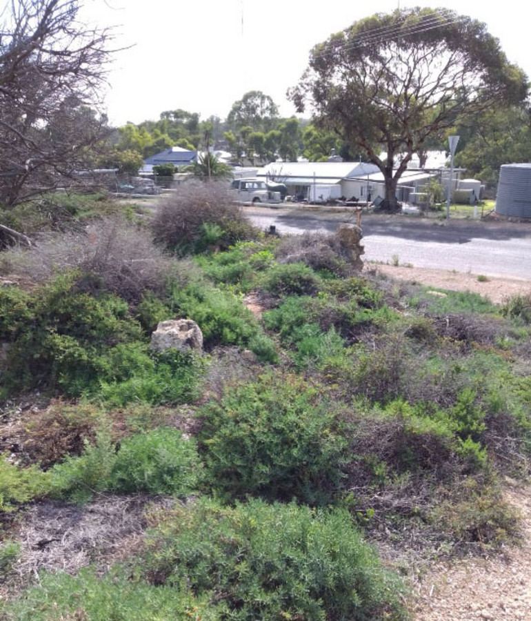 3-bedroom house at 19-21 ADAMS STREET, Blanchetown SA 5357, Mid Murray, South Australia