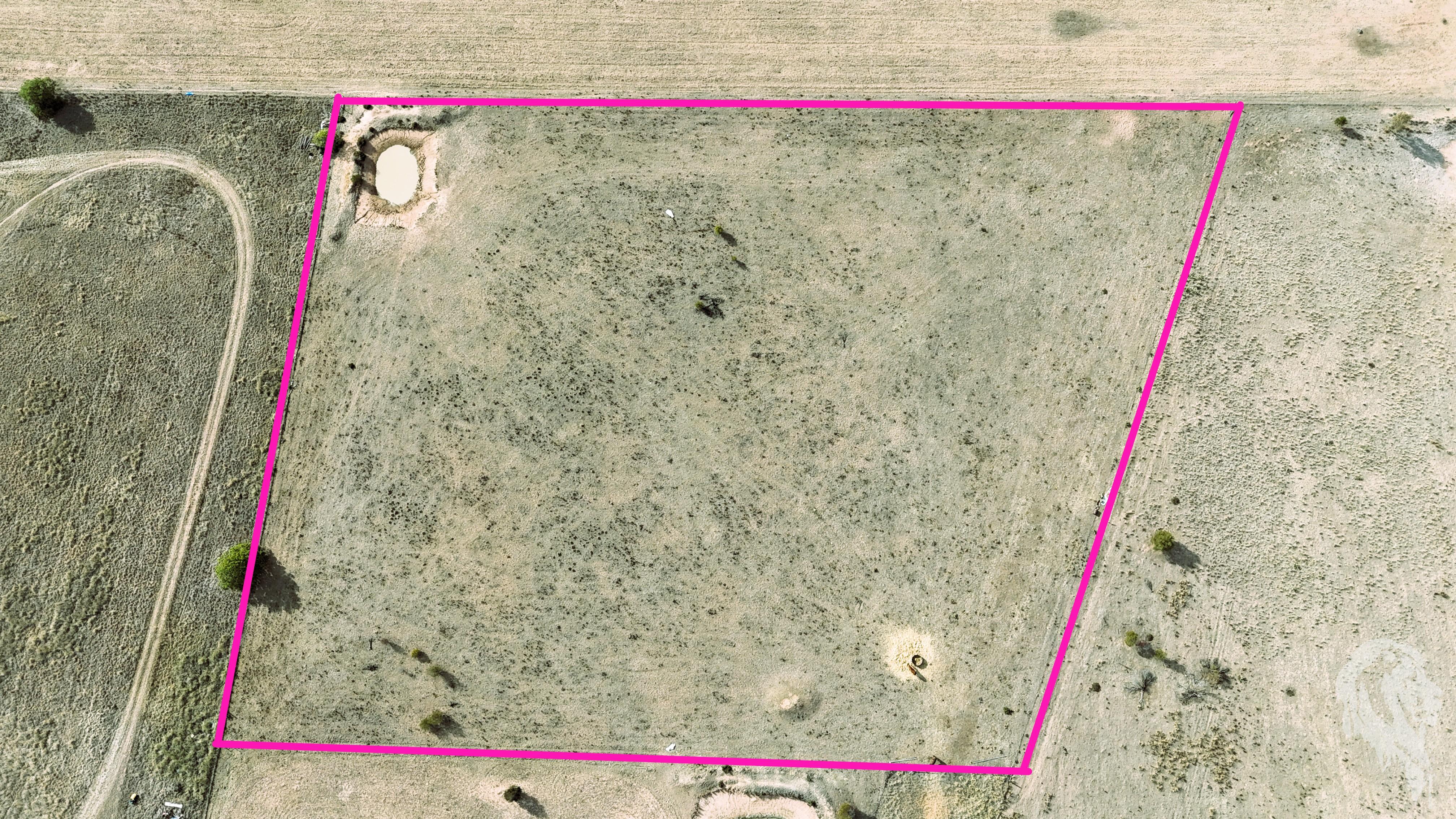 89 Highfield Lane, Narrabri, Nsw, 2390 - Image 5