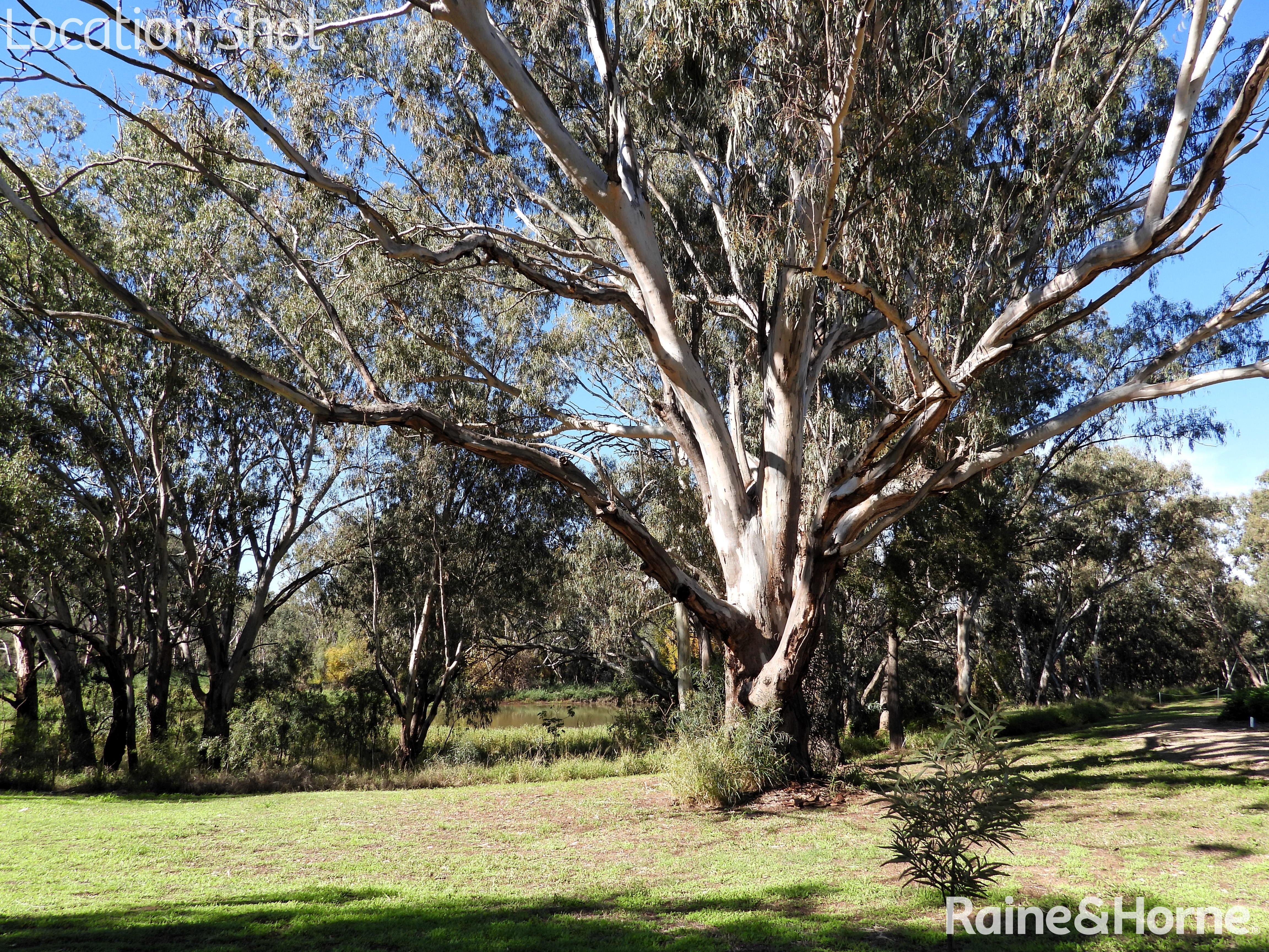 4-bedroom house at 2 Heber Street, Moree, NSW 2400, Moree Plains, New South Wales
