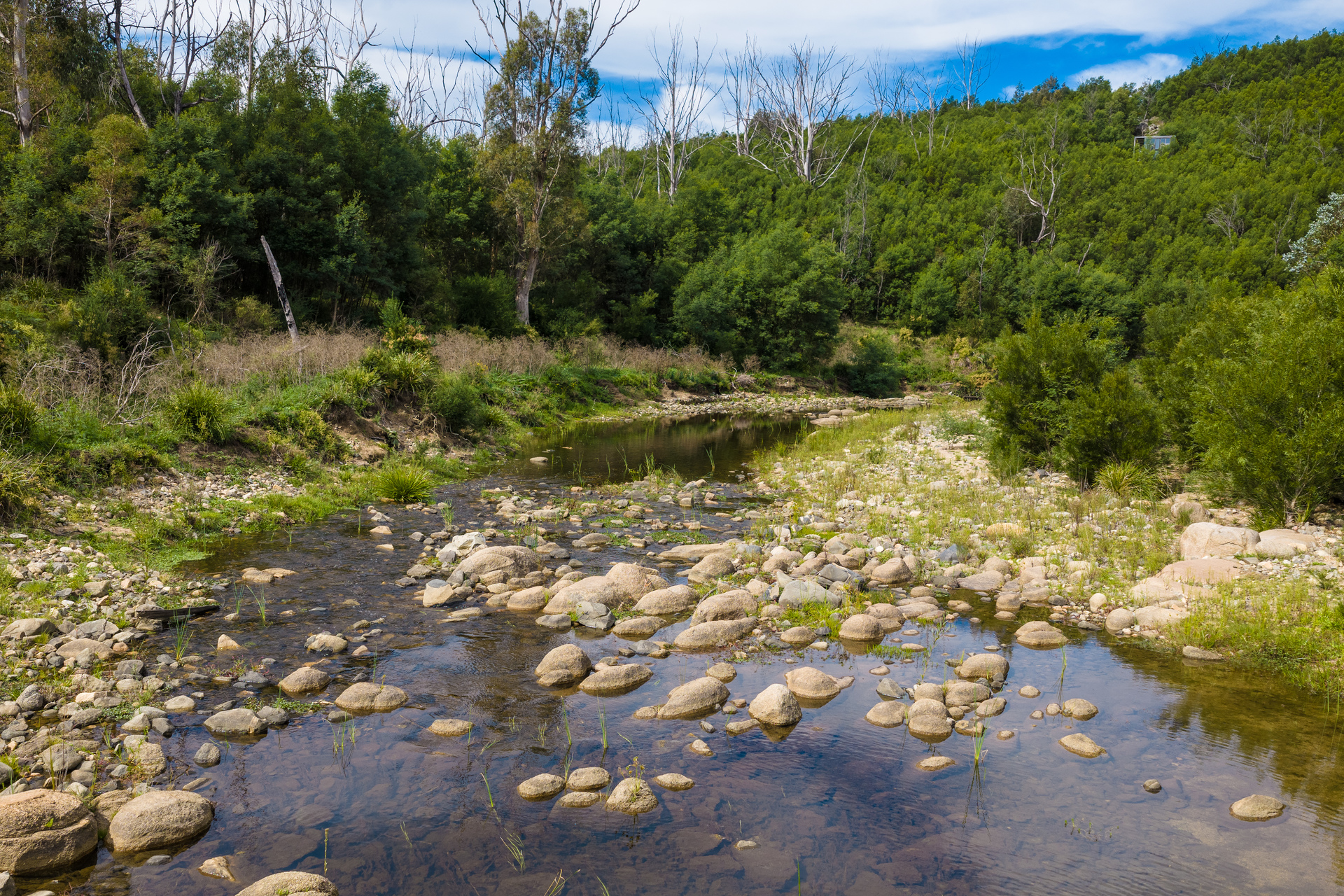 3-bedroom house at 614 New Buildings Road, Wyndham, NSW 2550, Bega Valley, New South Wales