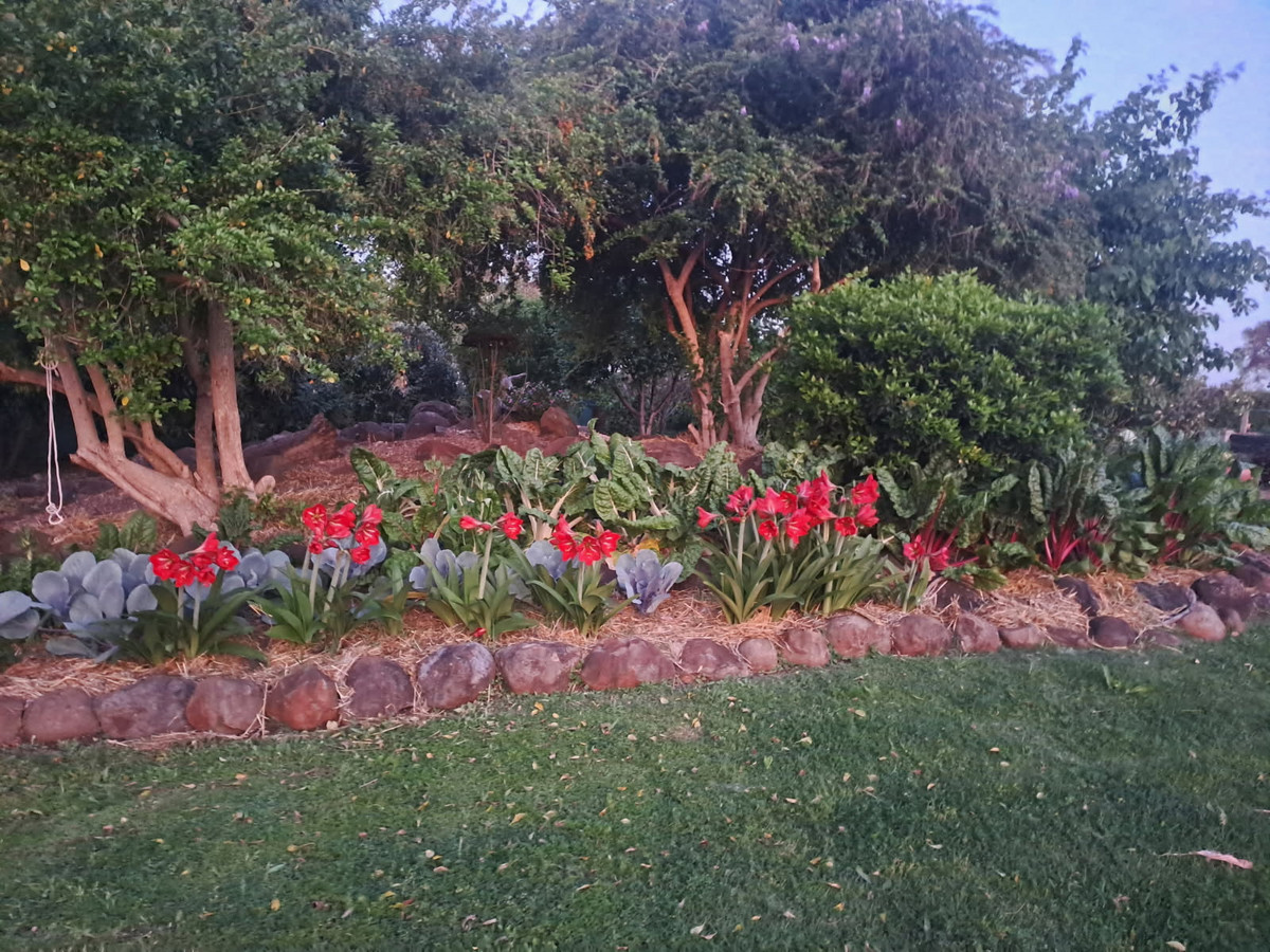 4-bedroom house at 320 Warfields Road, Allora, QLD 4362, Southern Downs, Queensland