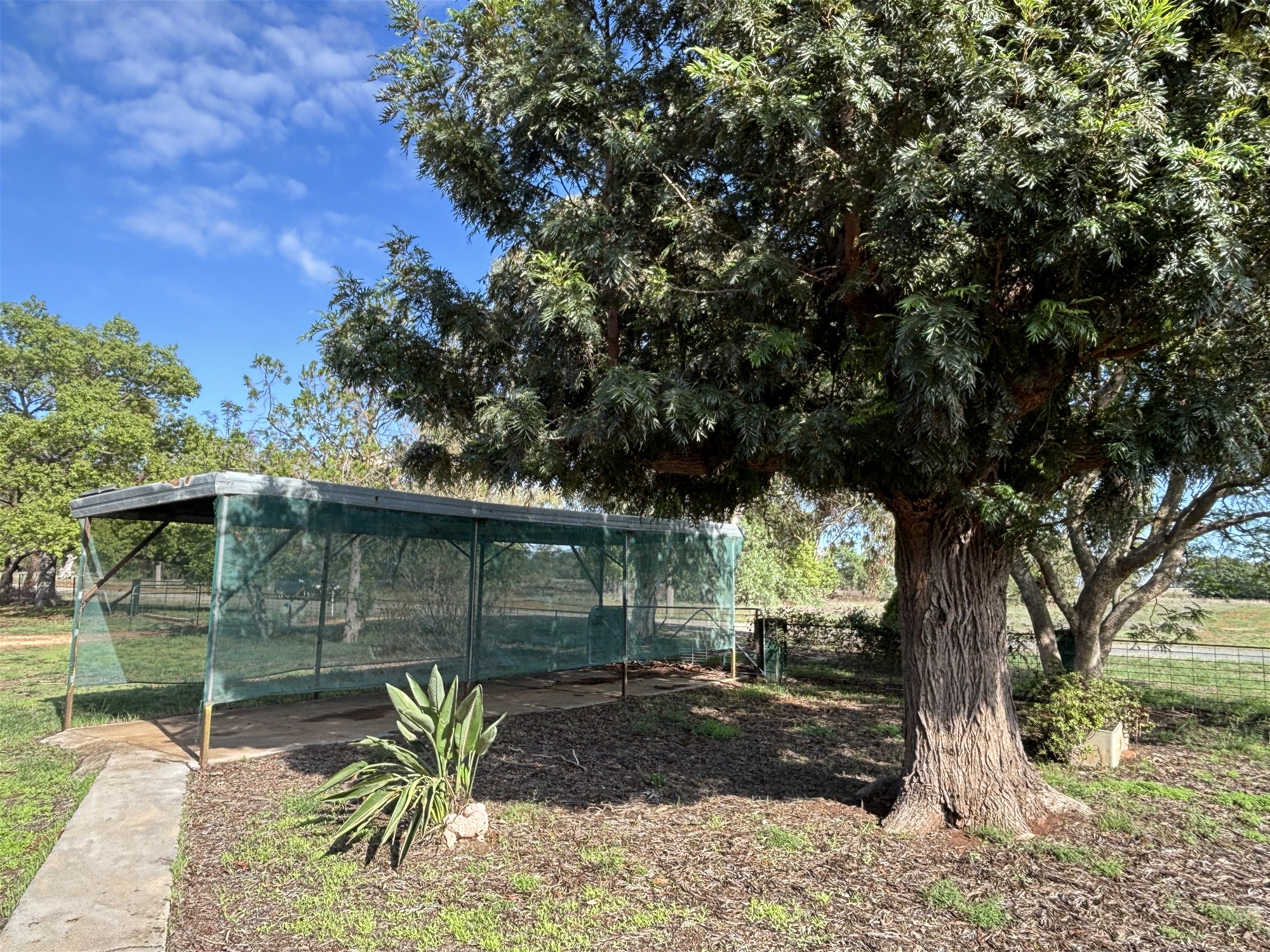 1-bedroom house at 37 Rankin Street, Oaklands, NSW 2646, Federation, New South Wales