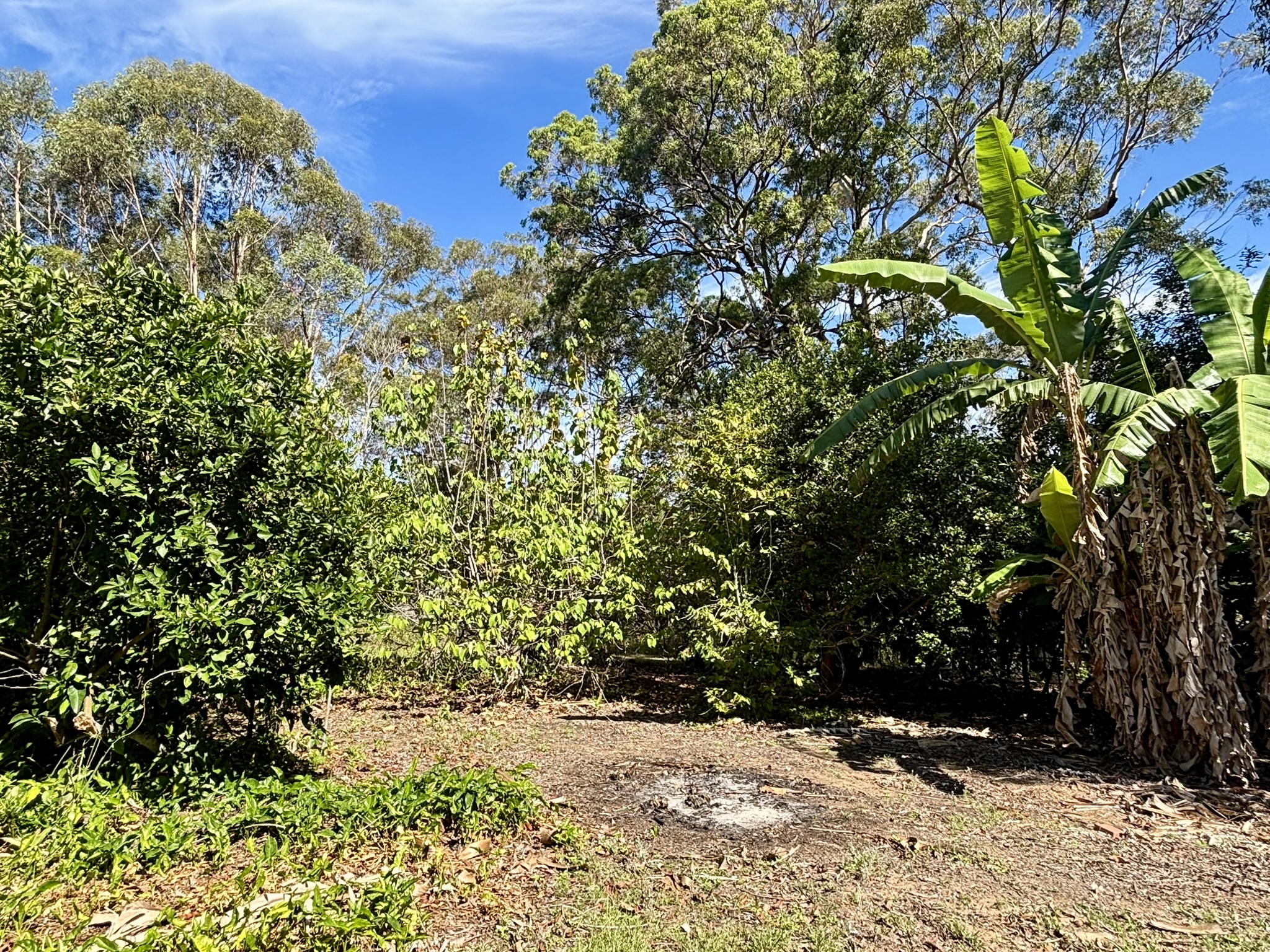 2-bedroom house at 40 Deenya Parade, Russell Island, QLD 4184, Redland, Queensland