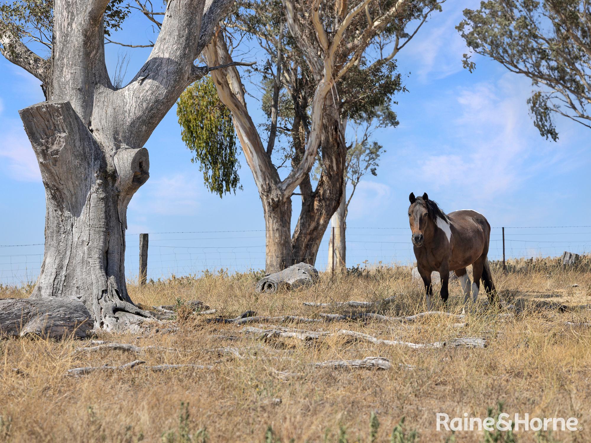 5-bedroom house at 223 Wimbledon Road, Georges Plains, NSW 2795, Bathurst, New South Wales