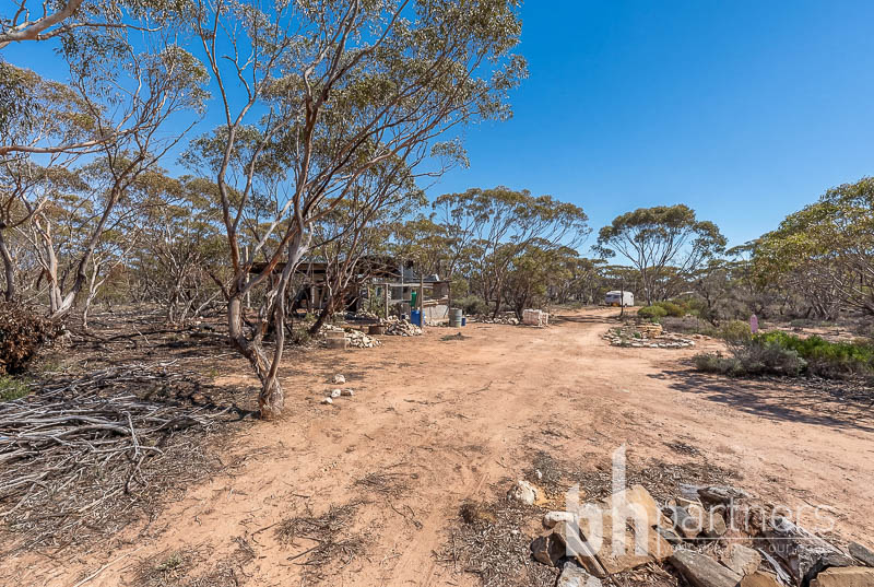 427 Codrington Road, Mannum, Sa, 5238 - Image 5