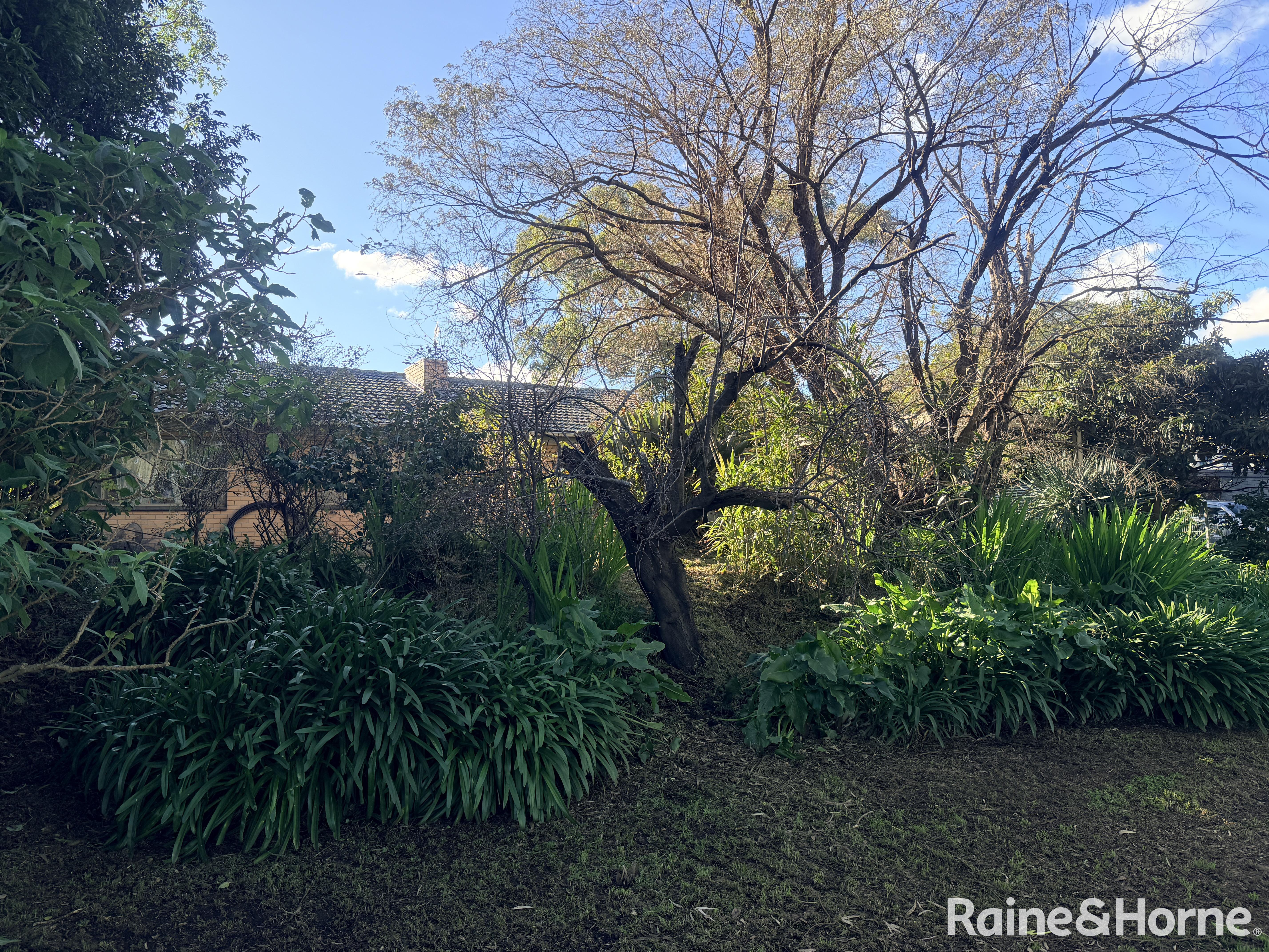 3-bedroom house at 21 Keith Road, Blackwood, SA 5051, Mitcham, South Australia