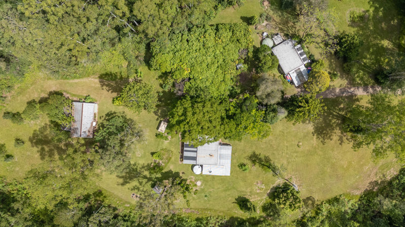 121 Boggy Creek Road, Bellingen, NSW 2454 - Image 5