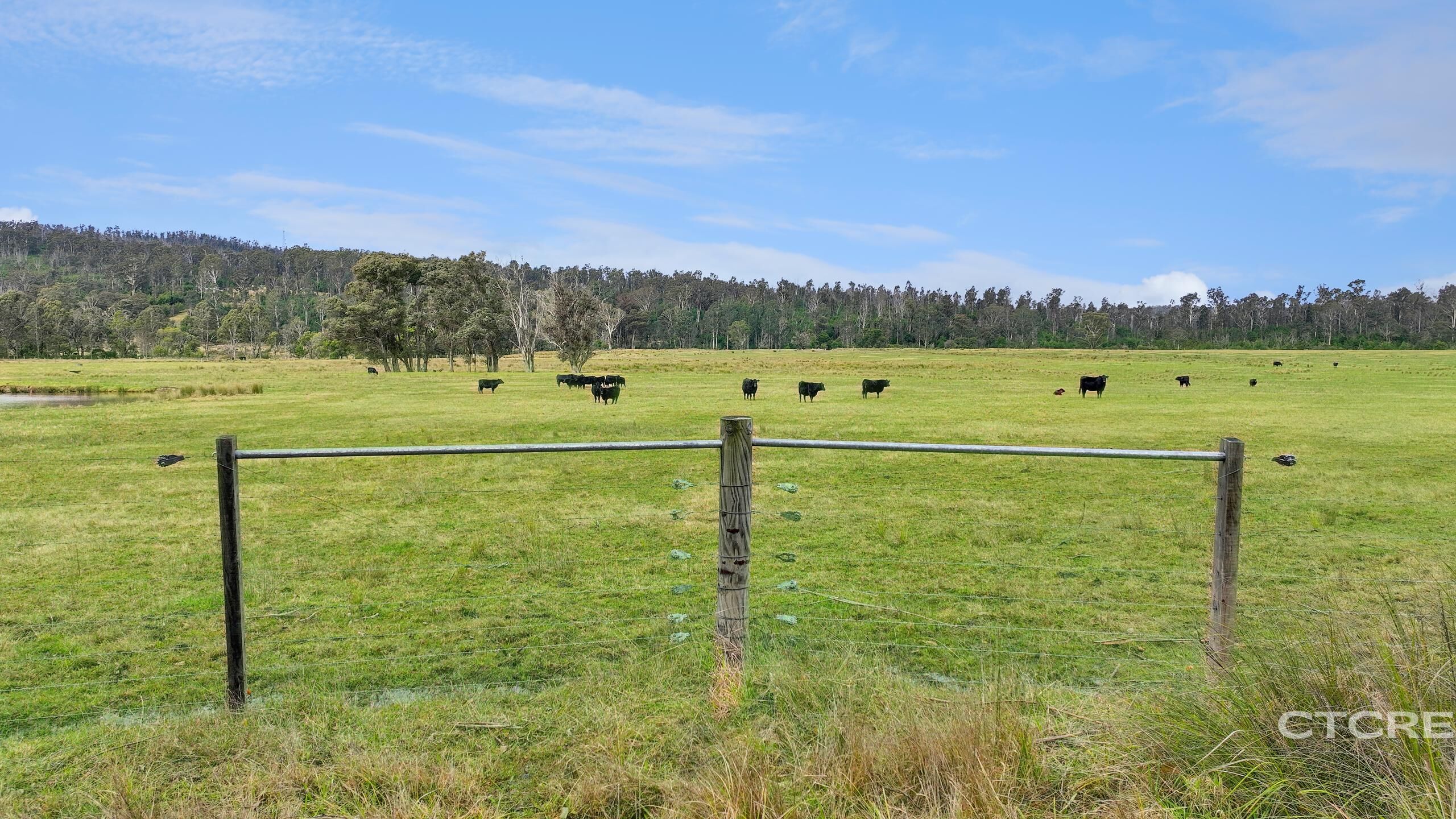 2-bedroom house at 1664 Wangarabell Road, Wangarabell, Vic, 3891, East Gippsland, Victoria
