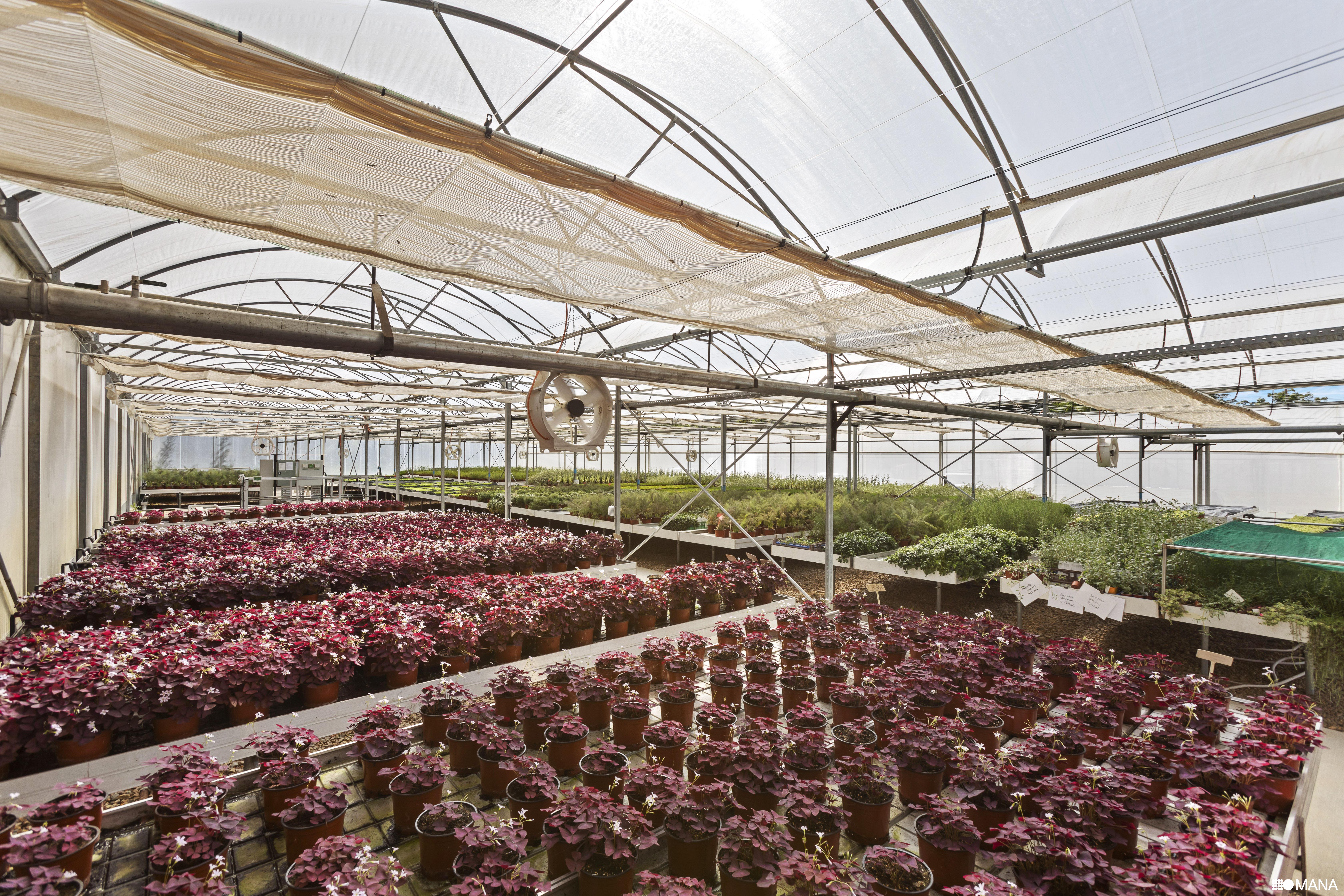 4-bedroom house at 67 Howards Road, Burringbar, NSW 2483, Tweed, New South Wales